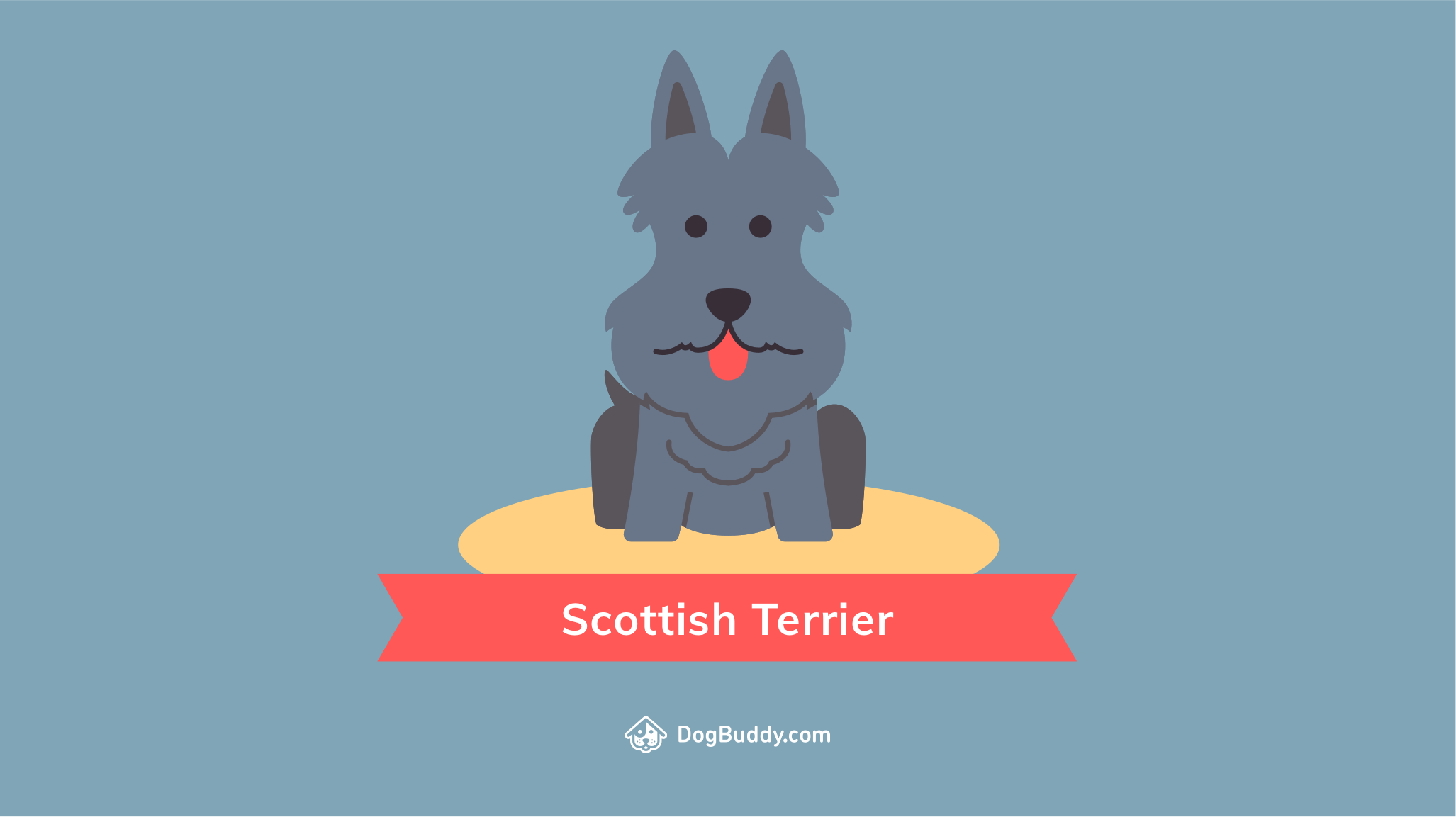 2054x1153 Woofpaper: Scottish Terrier