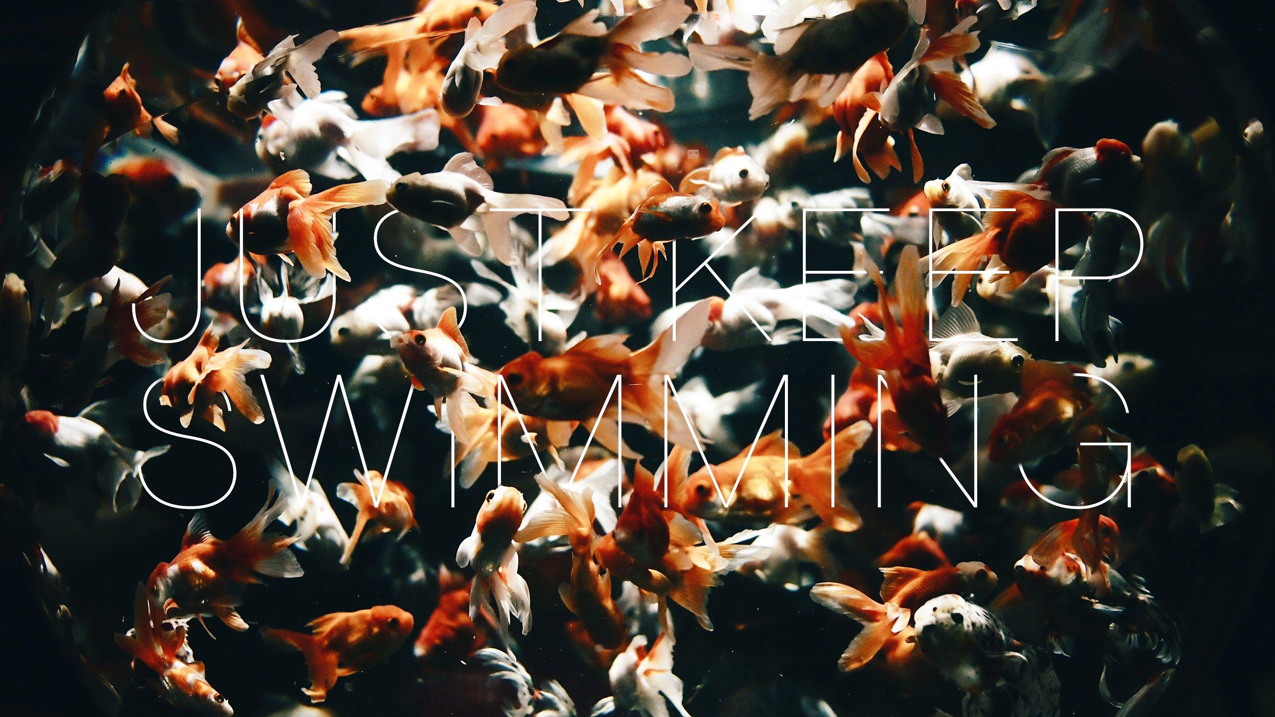 2560x1440 Just Keep Swimming HD wallpaper