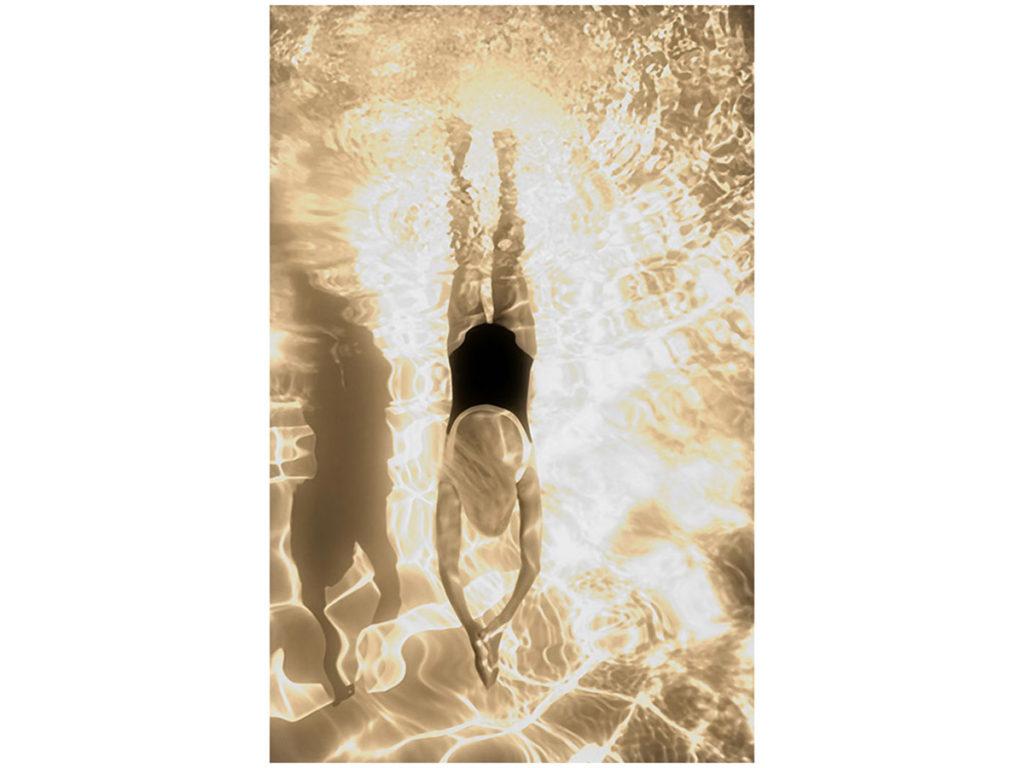 1024x768 Just Keep Swimming. InspireDesign Innovative vision for today's hotel
