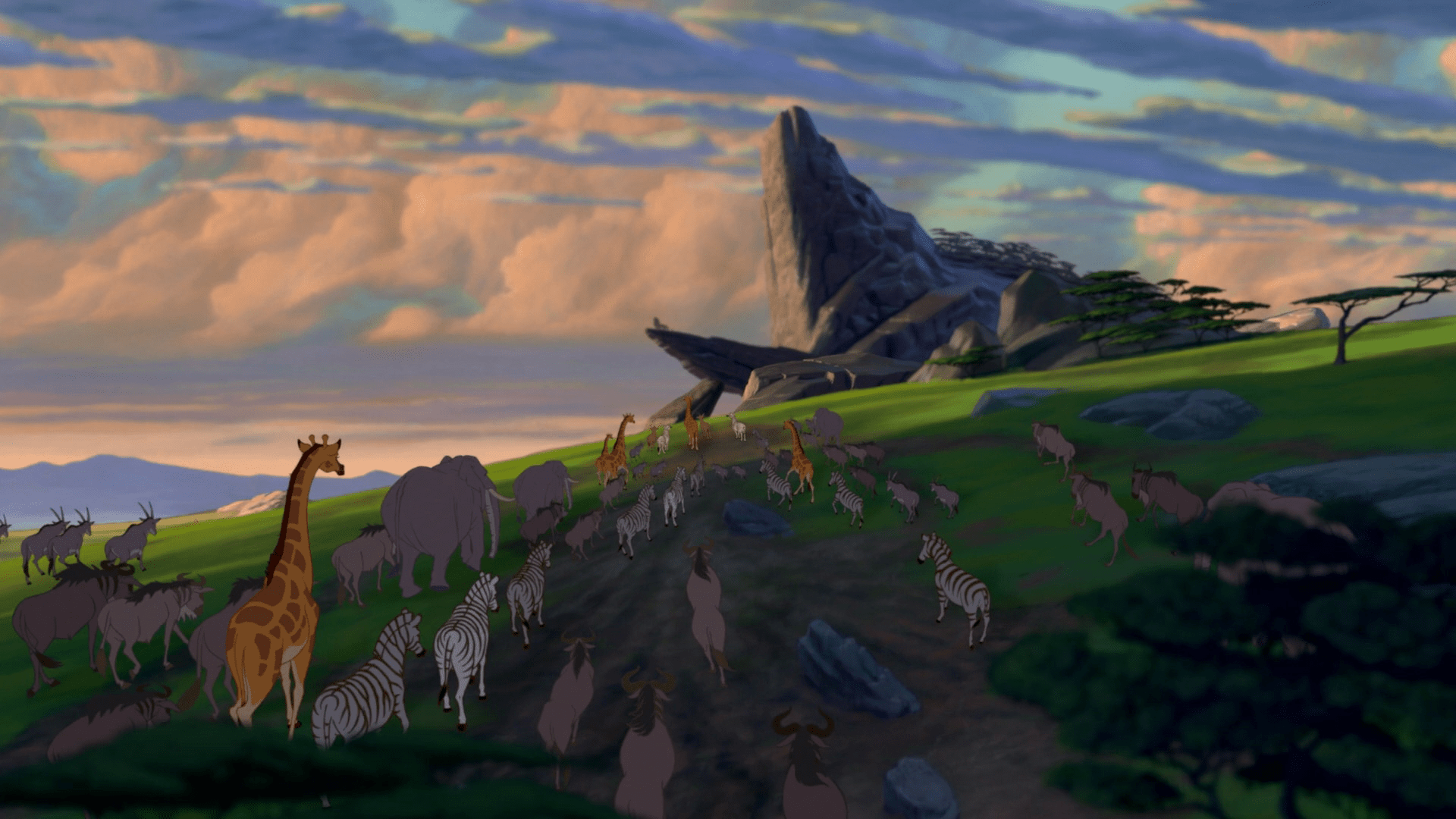 1920x1080 Pride Rock