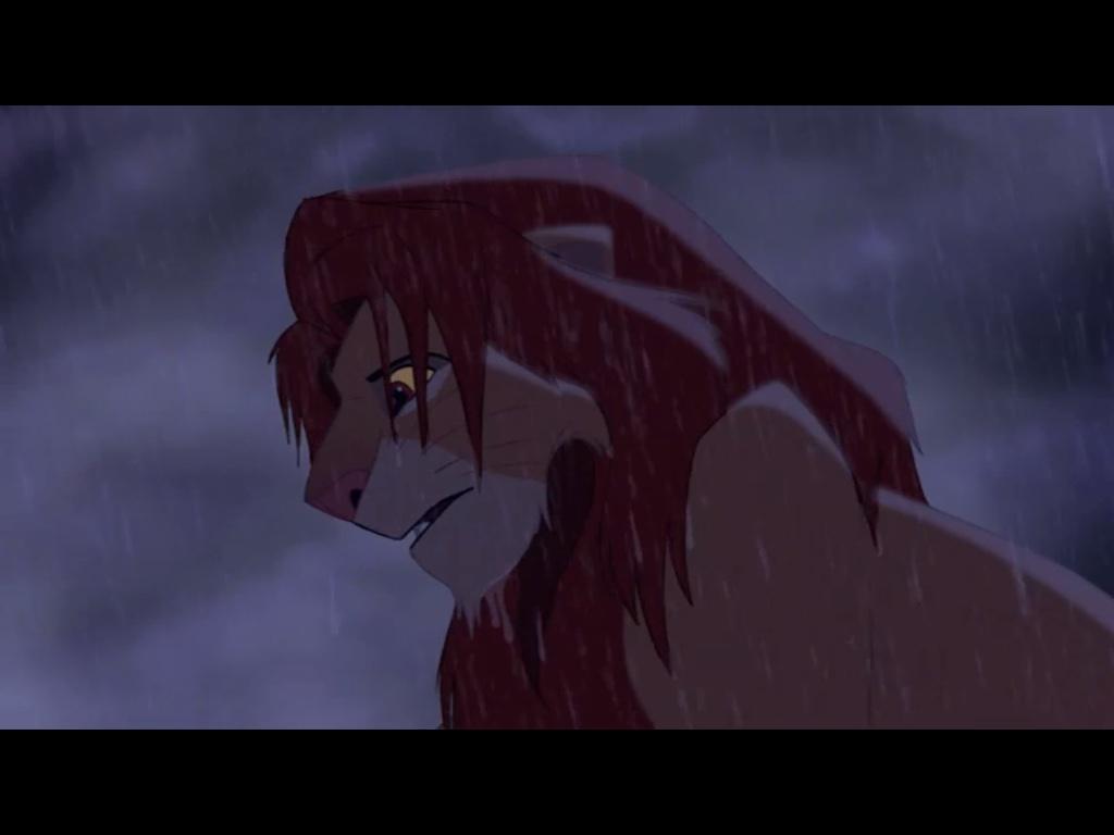 1024x768 King of Pride Rock Roi Lion photo
