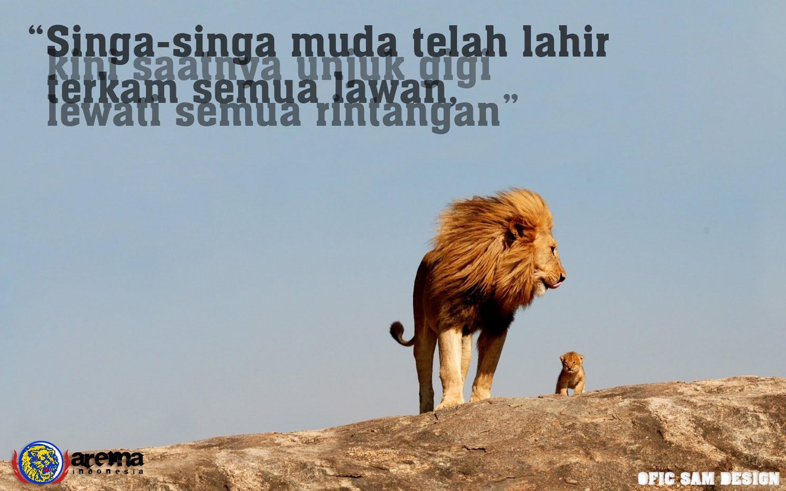 1600x1000 Real Lion King Pride Rock