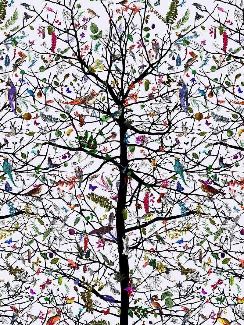 The Tree of Life Wallpapers - Top Free The Tree of Life Backgrounds