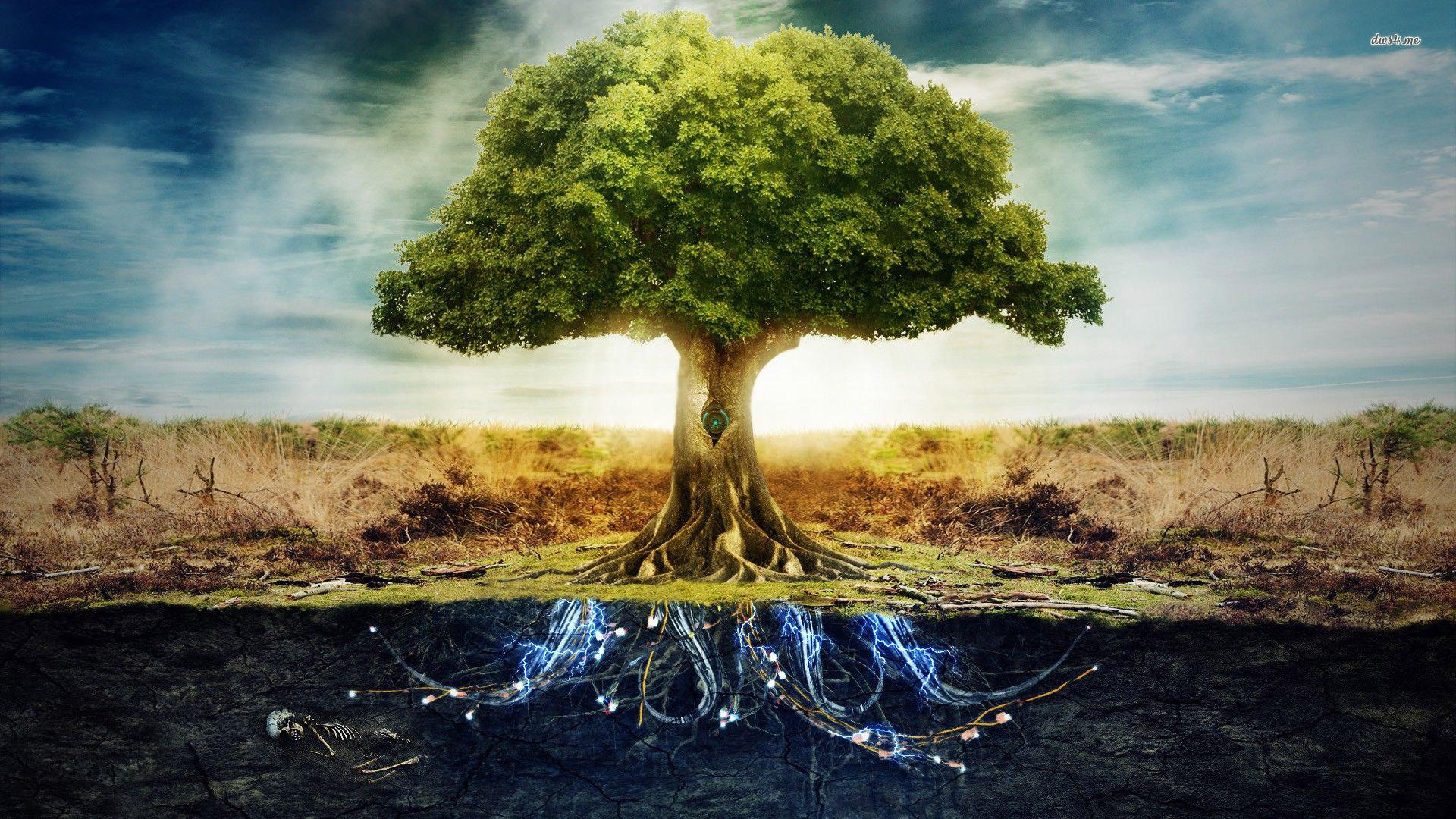 Celtic Tree of Life Wallpapers  Top Free Celtic Tree of Life Backgrounds   WallpaperAccess
