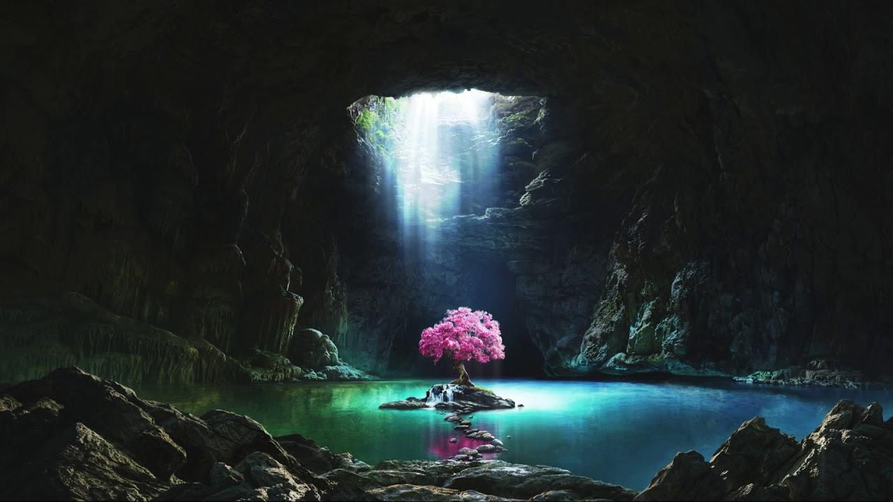 1280x720 Tree of Life
