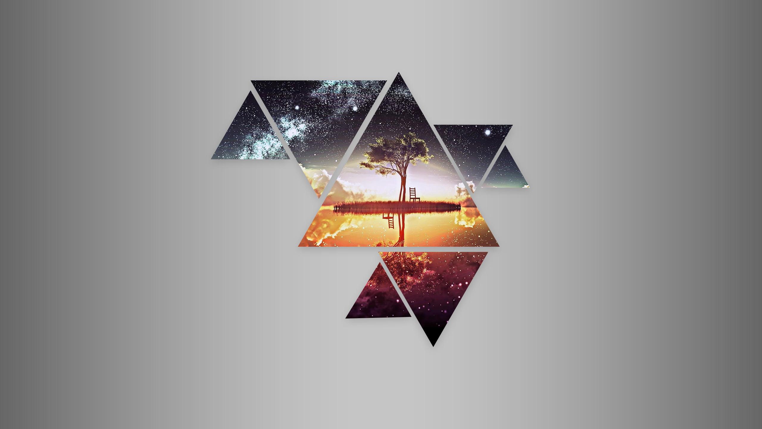 2560x1440 Tree Of Life Wallpaper