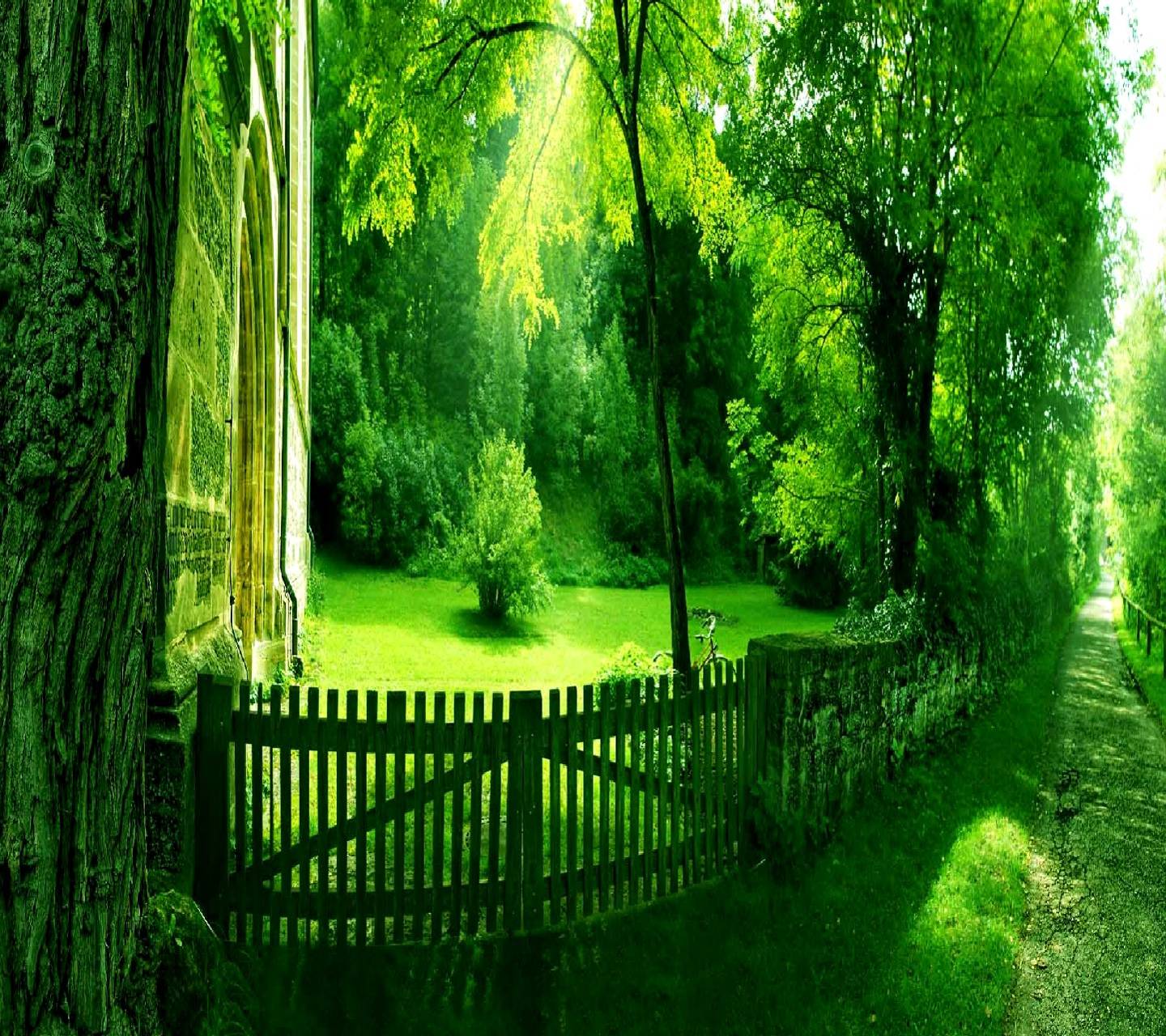 The Tree of Life Wallpapers Top Free The Tree of Life Backgrounds