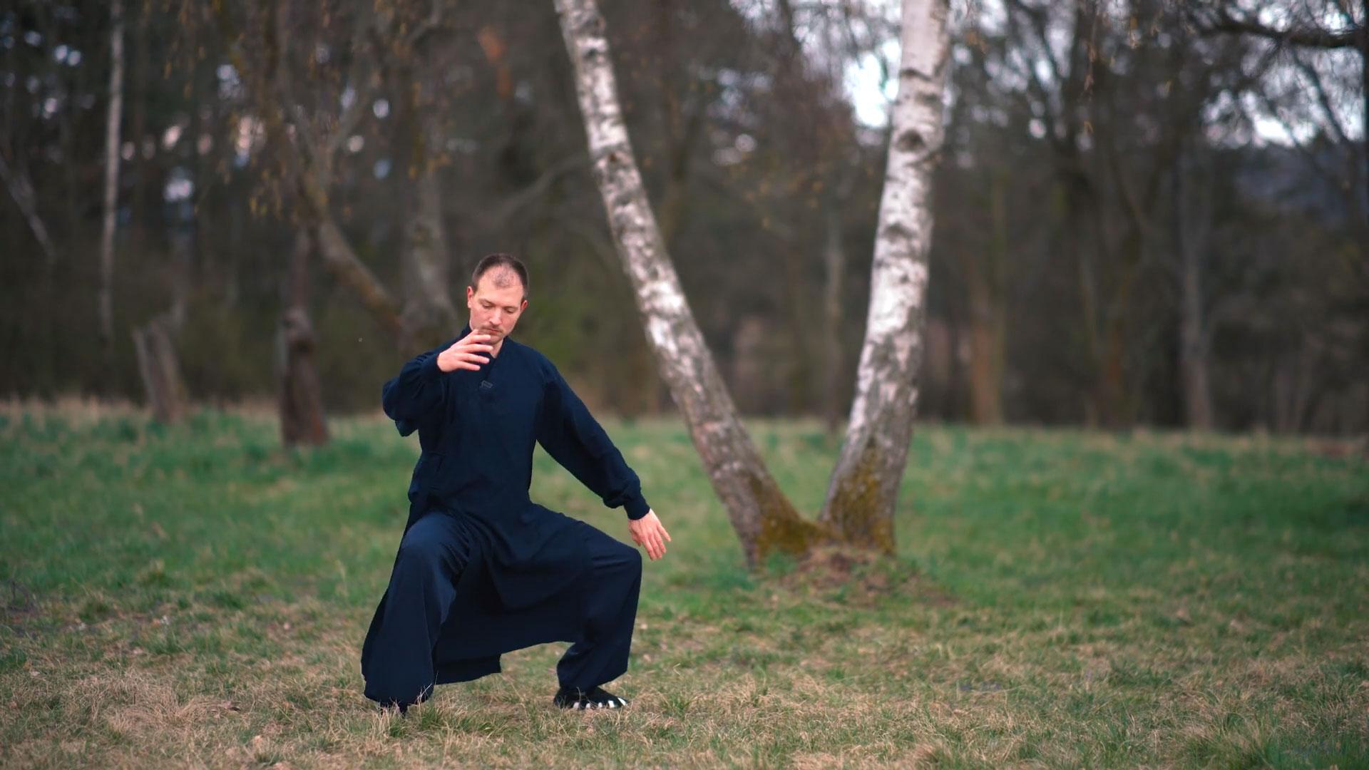 1920x1080 Revisiting Tai Chi 28