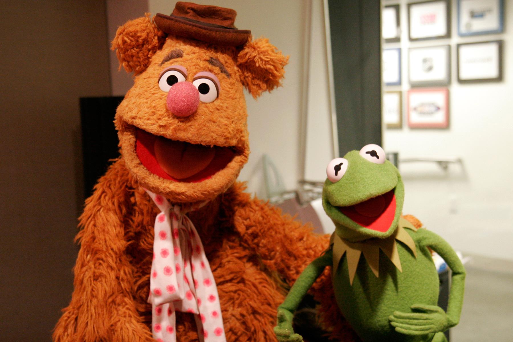 1800x1200 Free download Fozzie Bear Image TheCelebrityPix [1800x1200] for your Desktop, Mobile & Tablet. Explore Fozzie Bear Wallpaper. Fozzie Bear Wallpaper, Bear Wallpaper, Wallpaper Bear