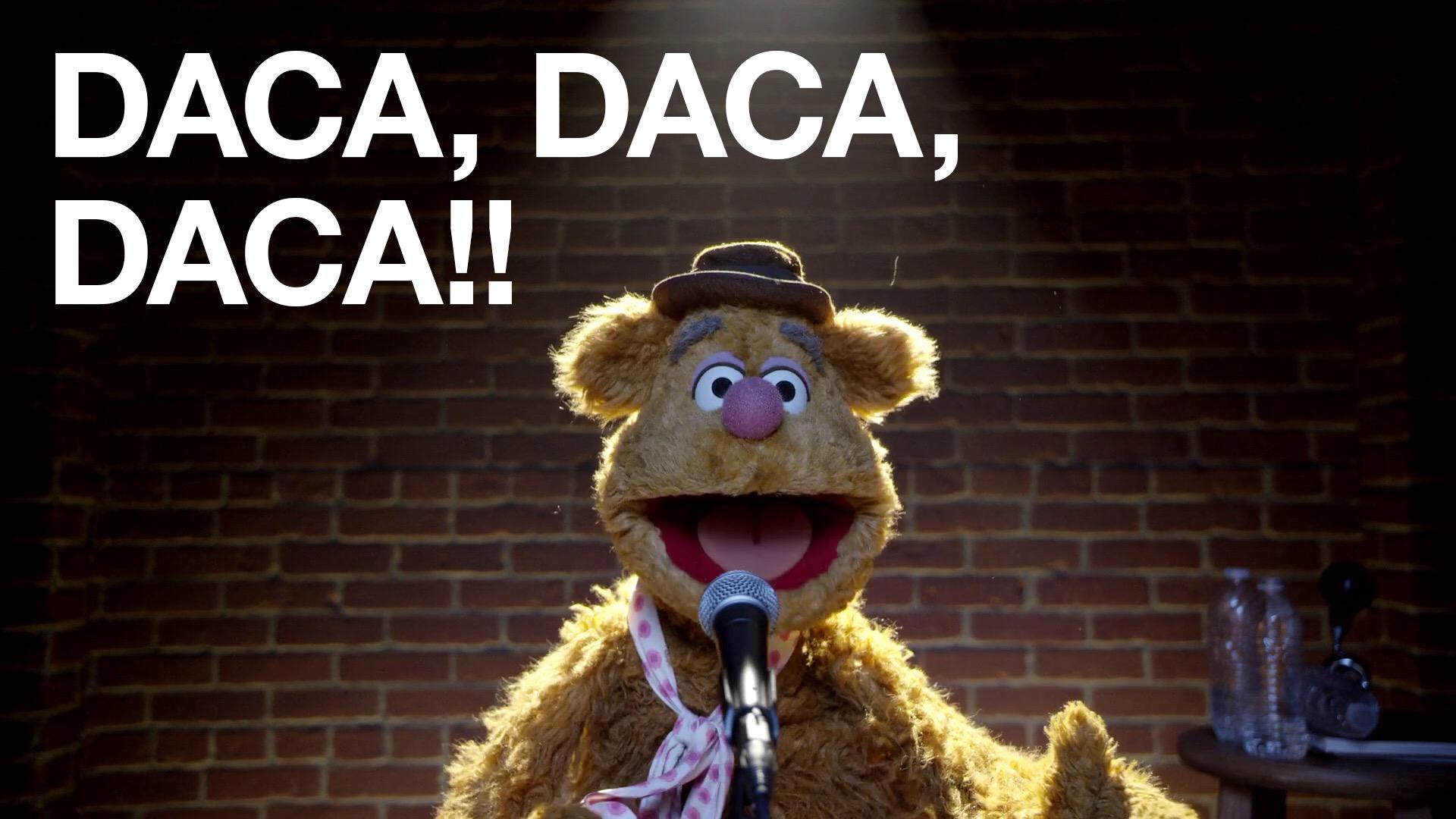 1920x1080 Even Fozzie Bear knows what's up