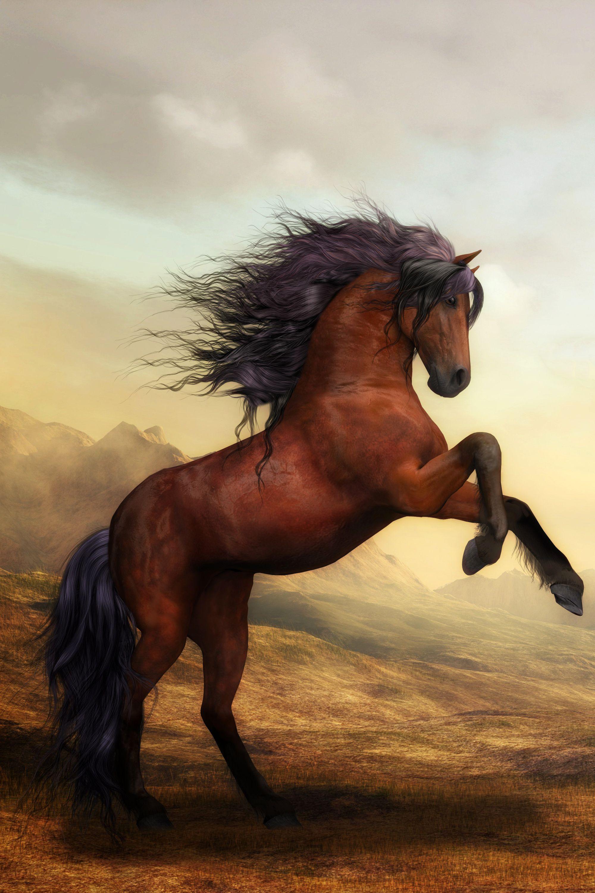 2000x3000 War Horse Wildlife Wall Art Poster. Pretty horses, Horse wallpaper, Horses