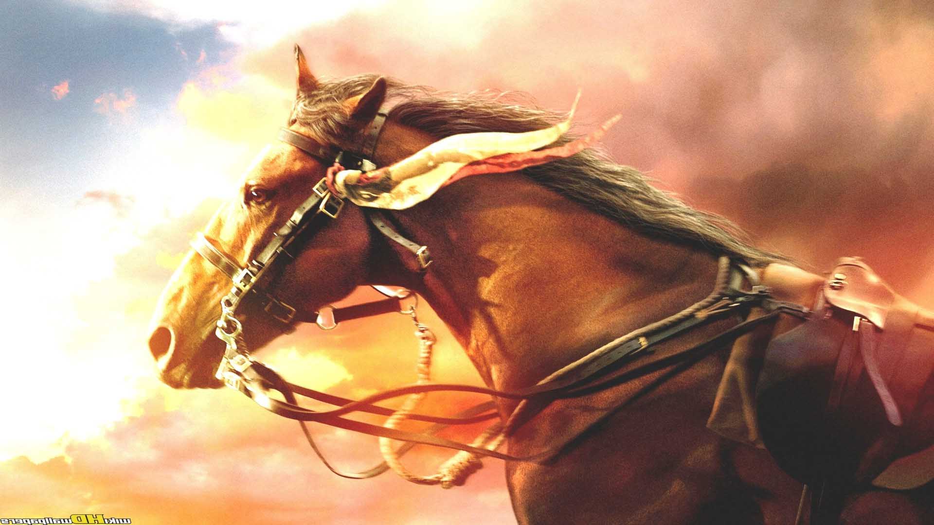 1920x1080 Free download War Horse Wallpaper and Background Image stmednet [1920x1080] for your Desktop, Mobile & Tablet. Explore Horses Wallpaper Background. Christmas Horses Wallpaper for Computer, Wallpaper for Desktop Horses