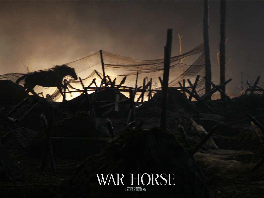 1024x768 War Horse Horse The movie Wallpaper