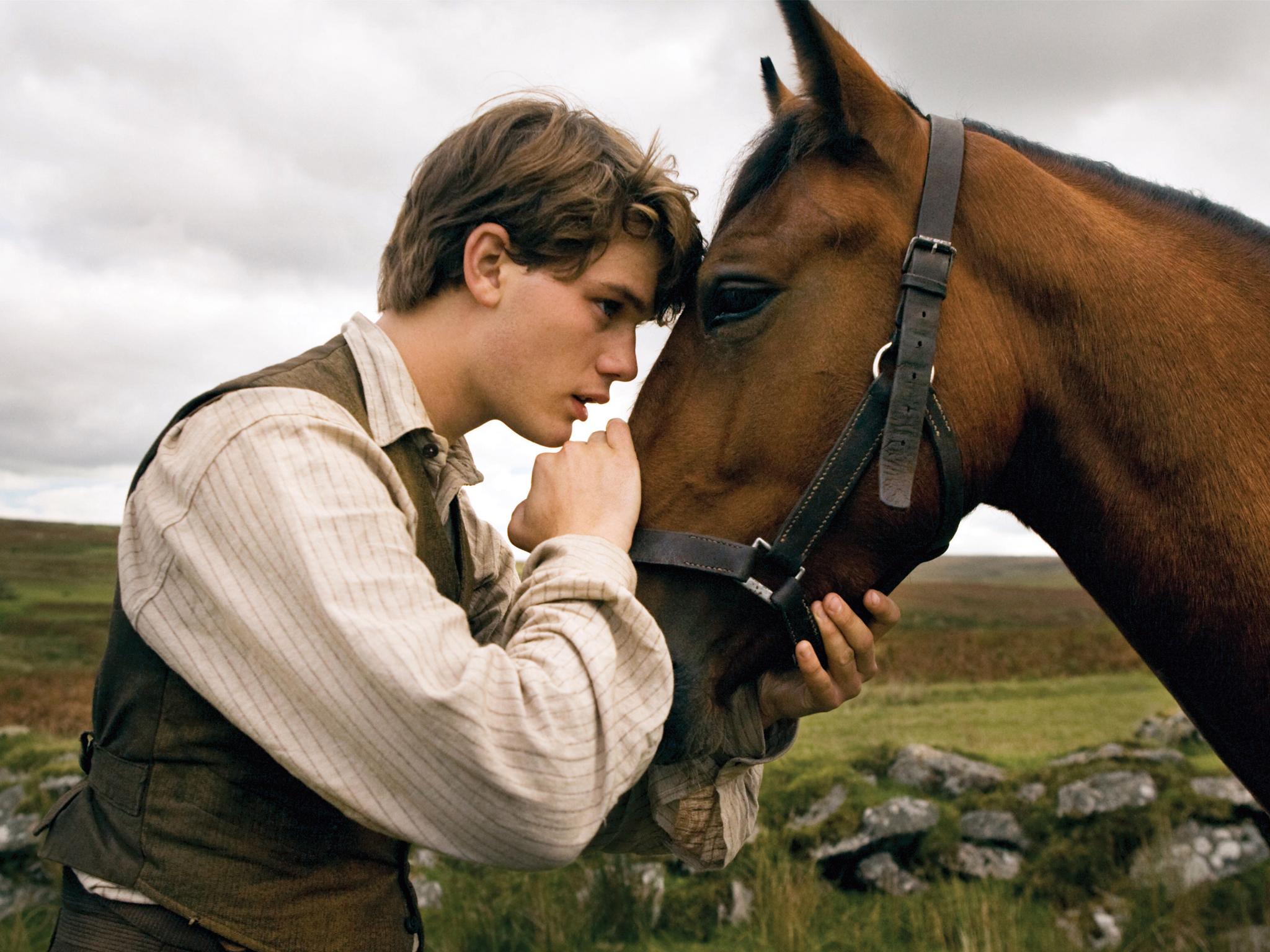 2048x1536 War Horse HD Wallpaper