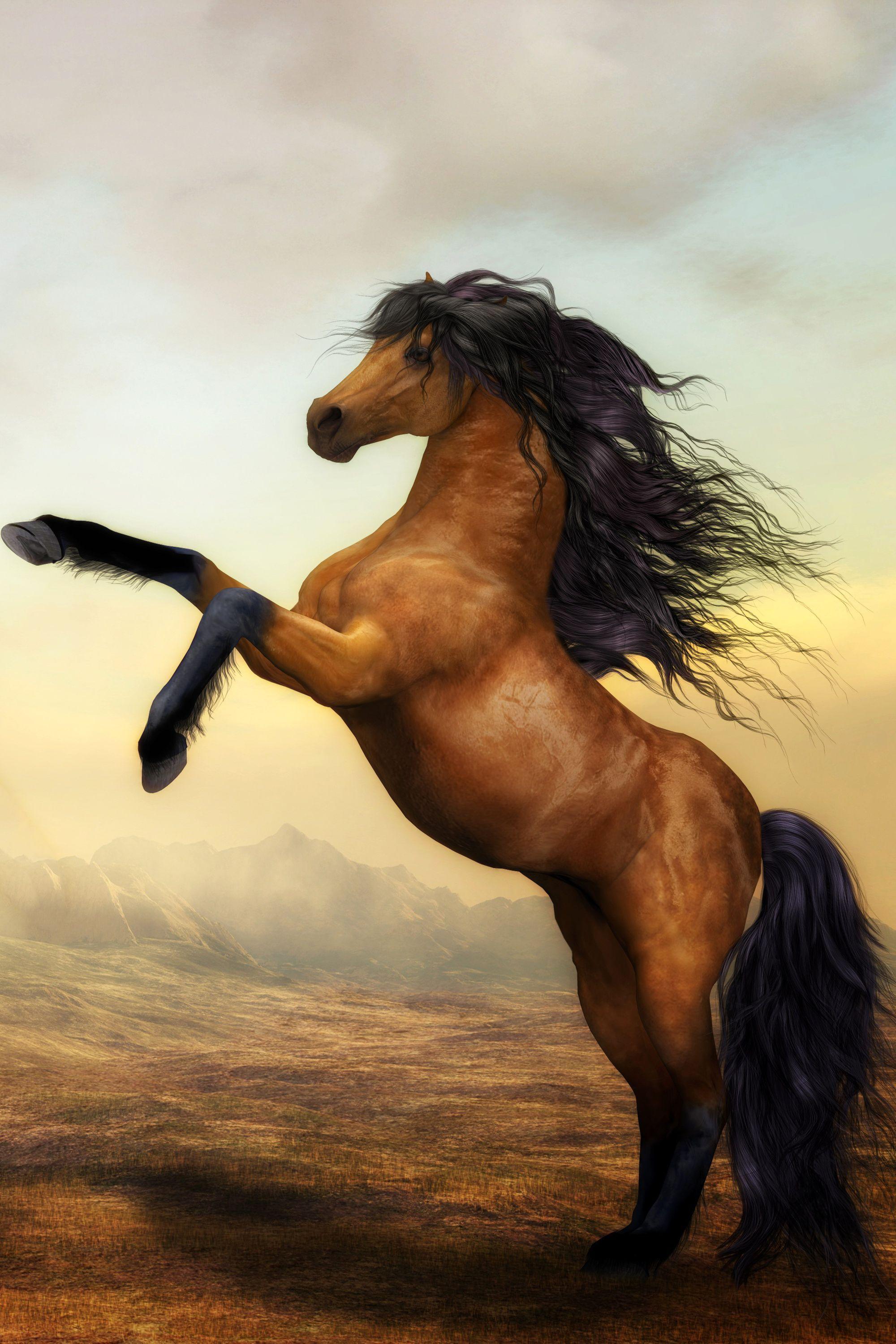 2000x3000 War Horse Wildlife Wall Art Poster. Horse wallpaper, Horse wall art, Horses