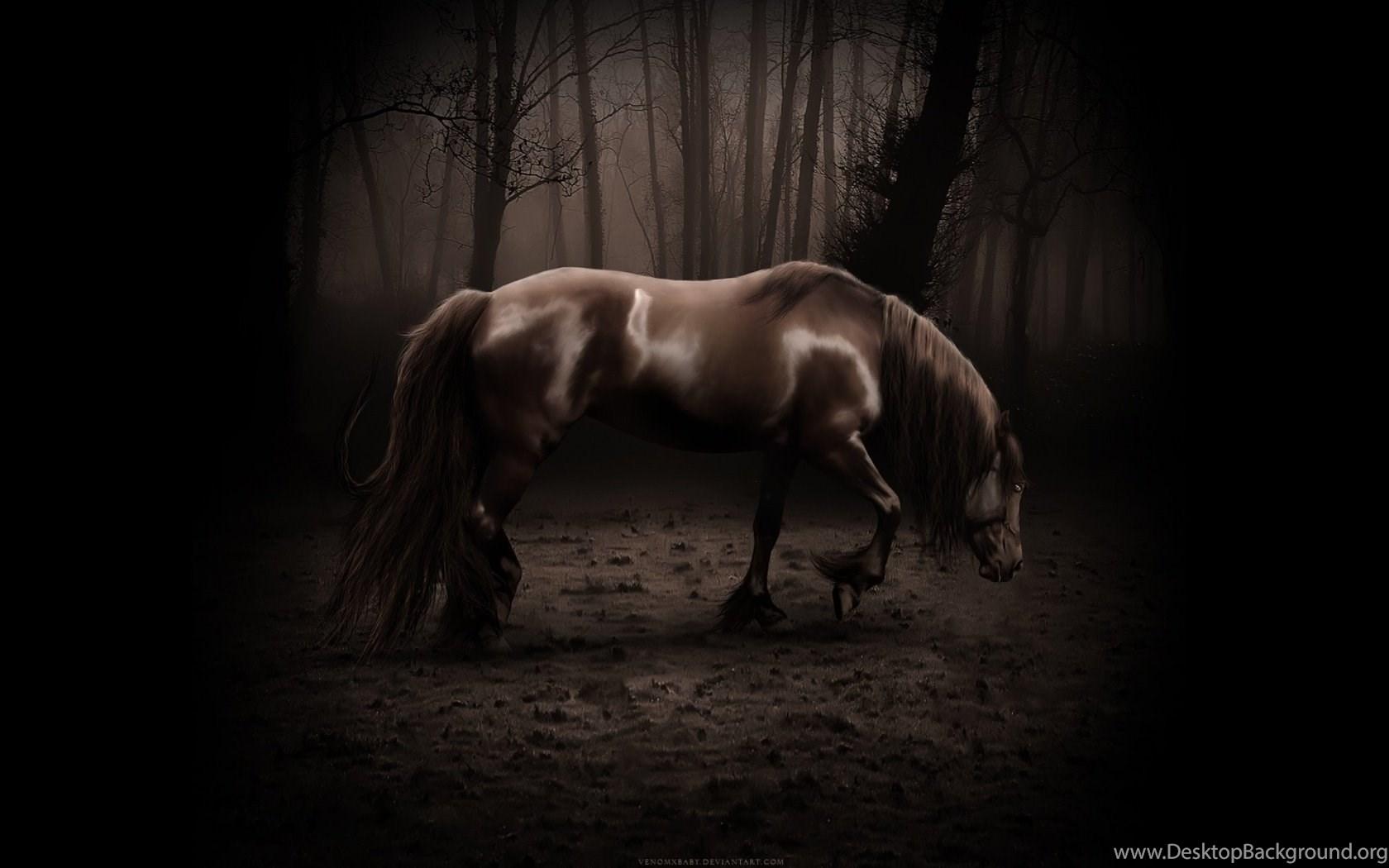 1680x1050 Download Brown War Horse Wallpaper In 1680x1050 Resolution Desktop Background