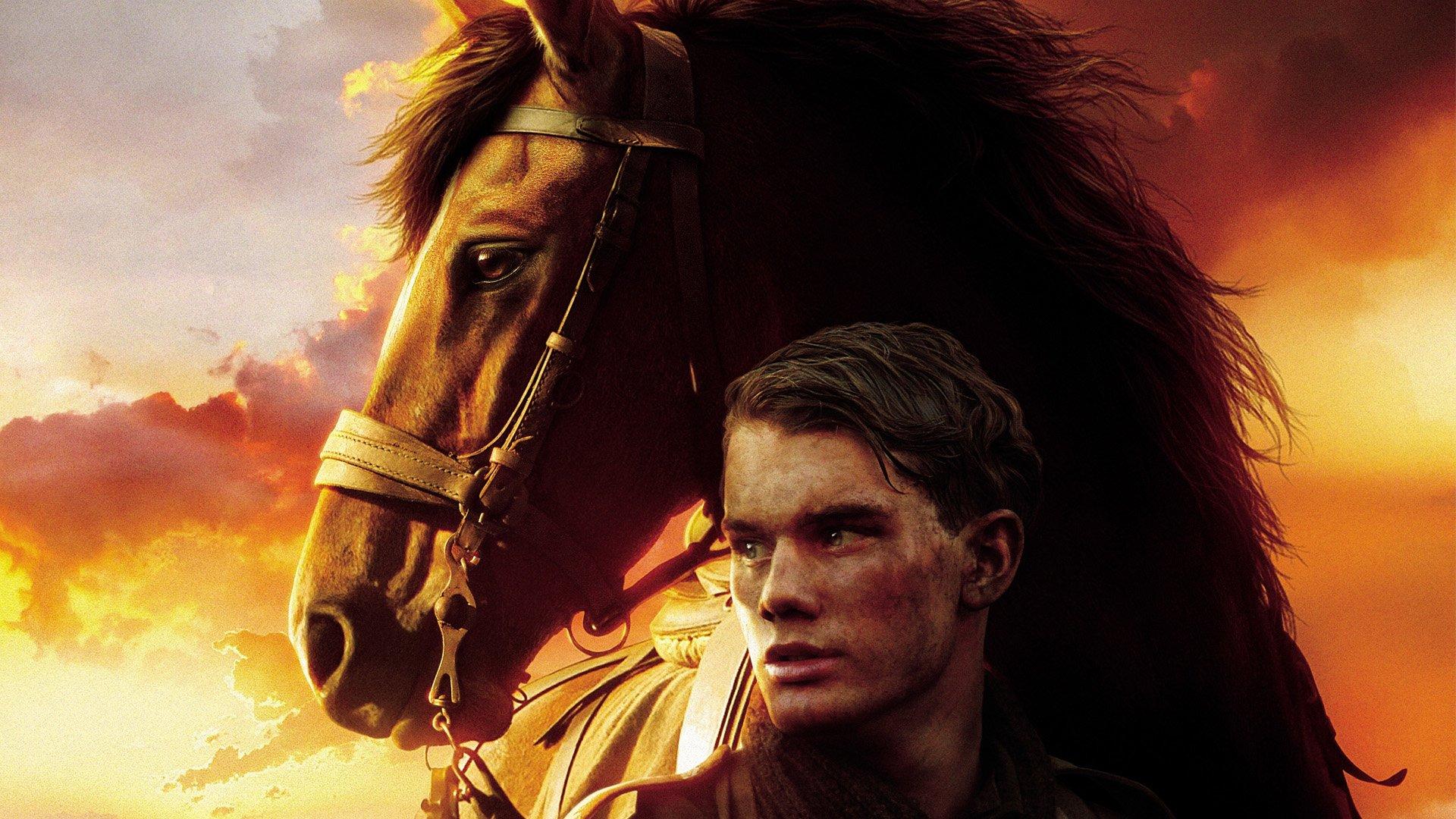 1920x1080 War Horse HD Wallpaper. Background Imagex1080