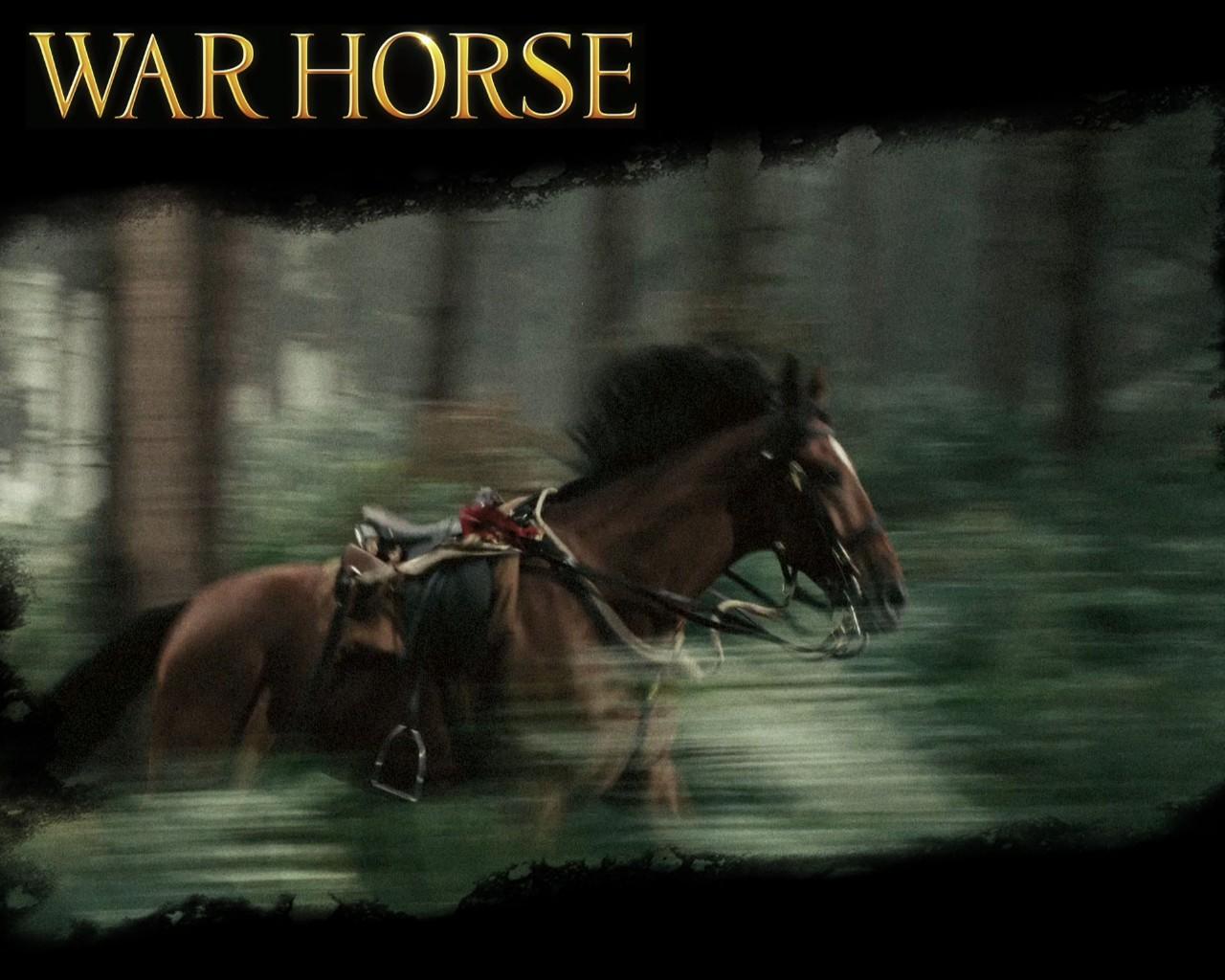 1280x1024 1280x1024 war horse desktop background