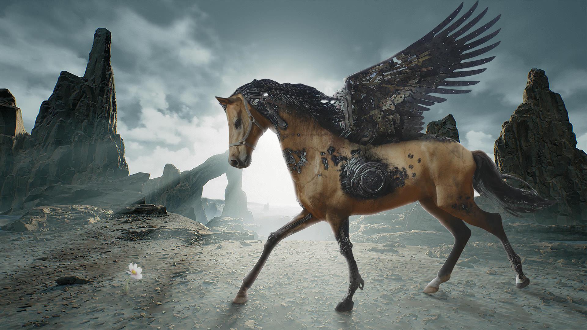 1920x1080 1920x1080 war horse HD background