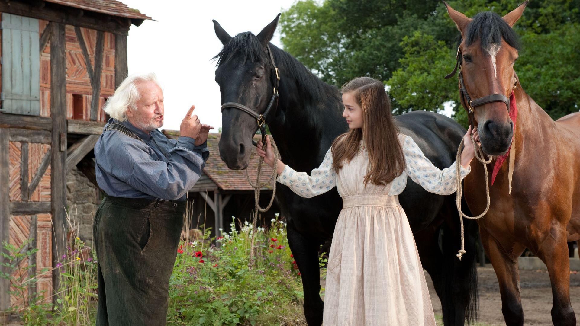 1920x1080 Movie War Horse Wallpaper:1920x1080