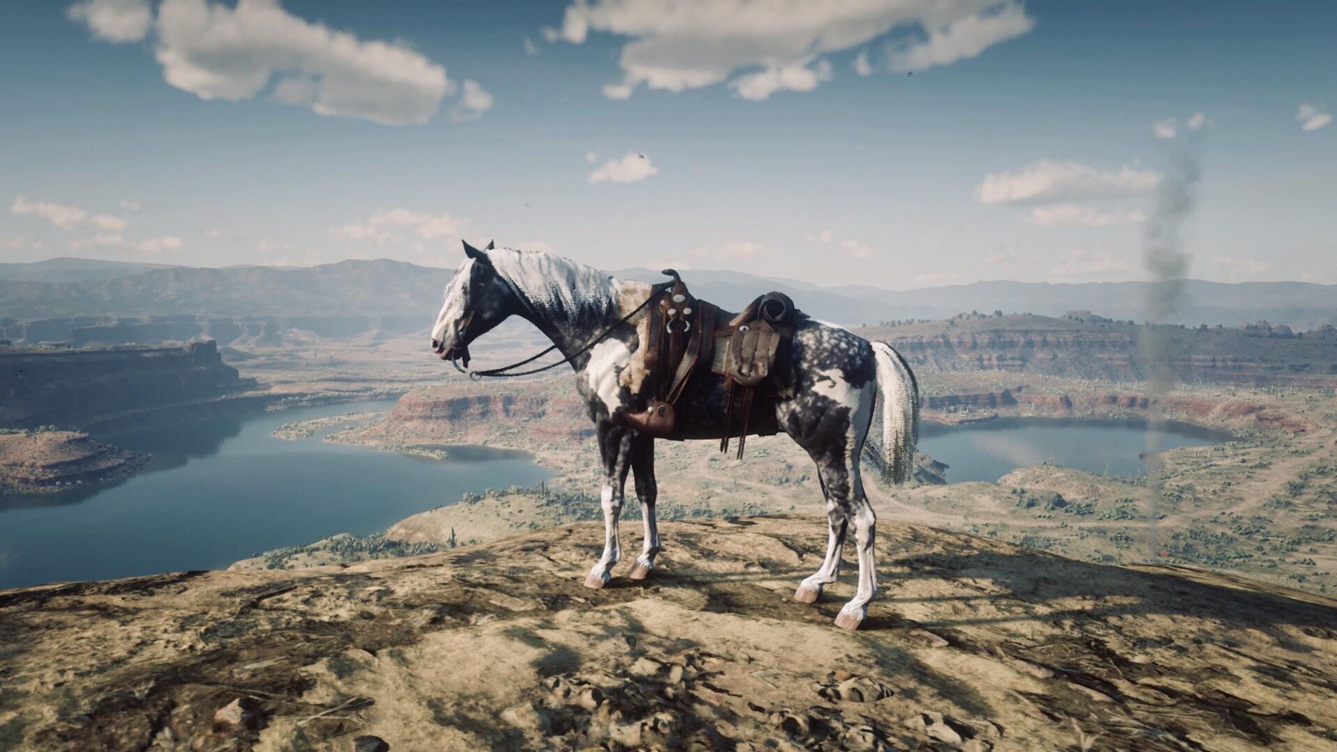 1920x1080 1920x1080 war horse wallpaper