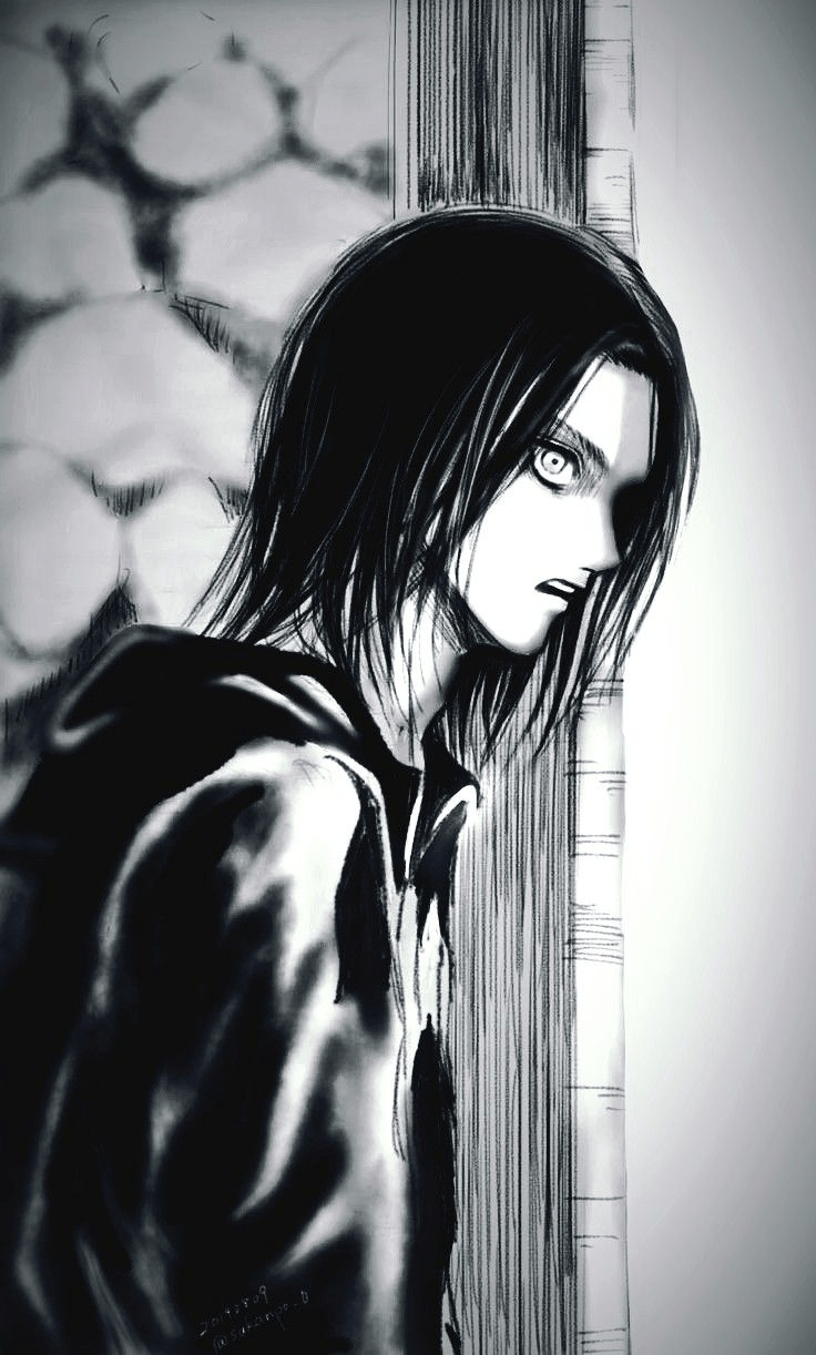 736x1222 Attack On Titan Black And White Wallpaper. Attack on titan, Attack on titan anime, Attack on titan eren
