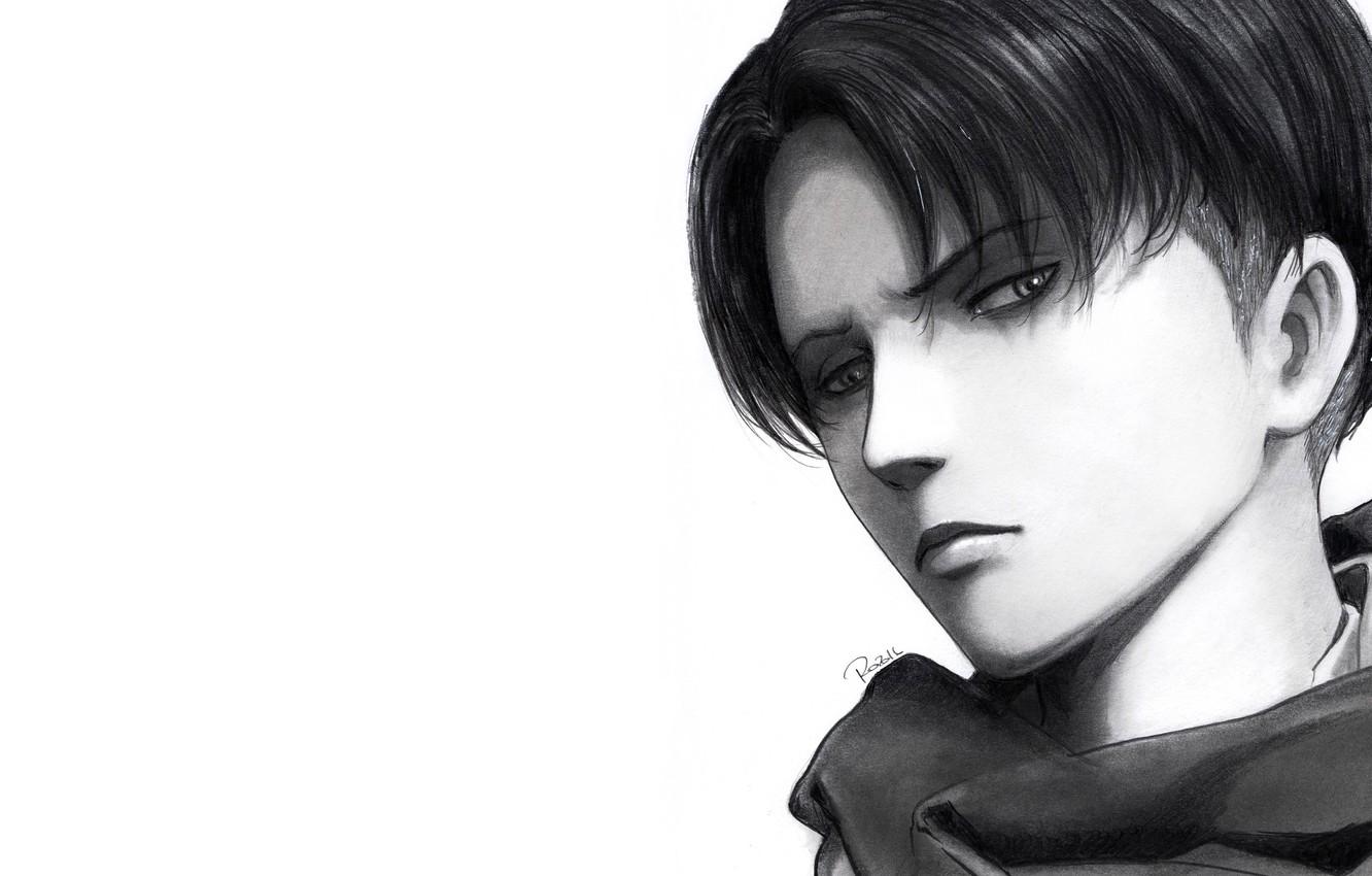1332x850 Photo Wallpaper Look, Art, White Background, Guy, Attack Attack On Titan Levi