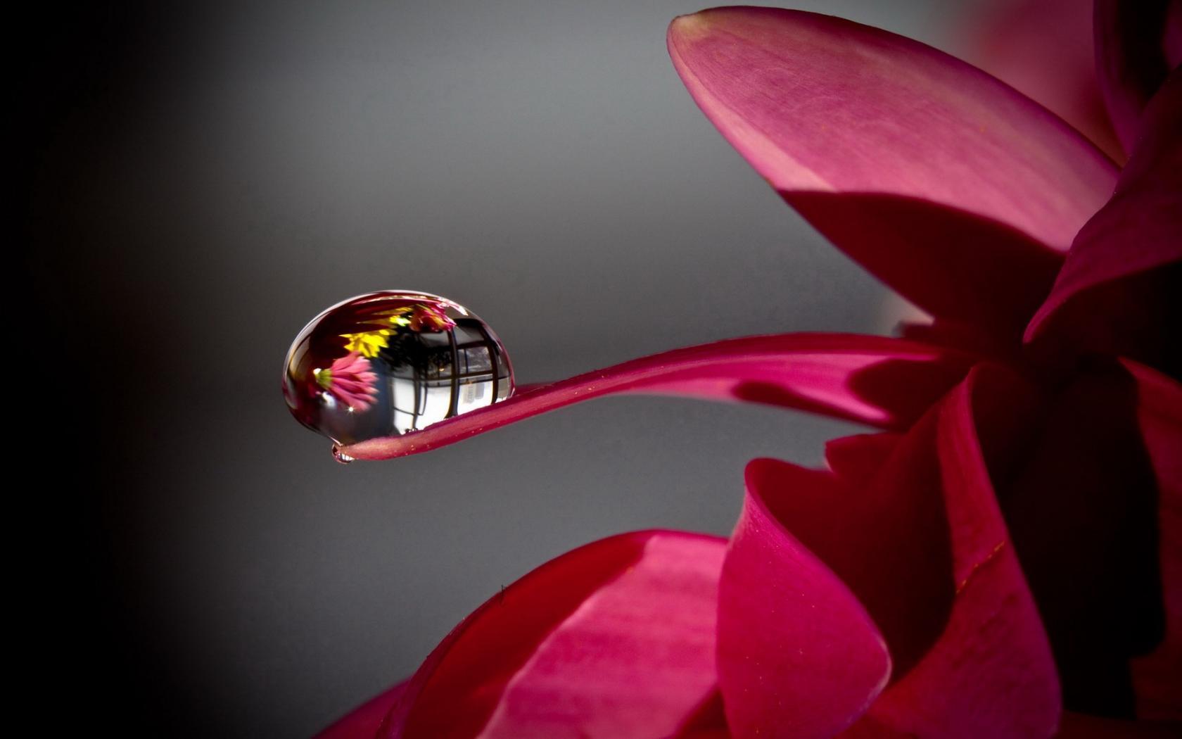 1680x1050 Crystal clear water drops wallpaper 1680x1050 widescreen HD