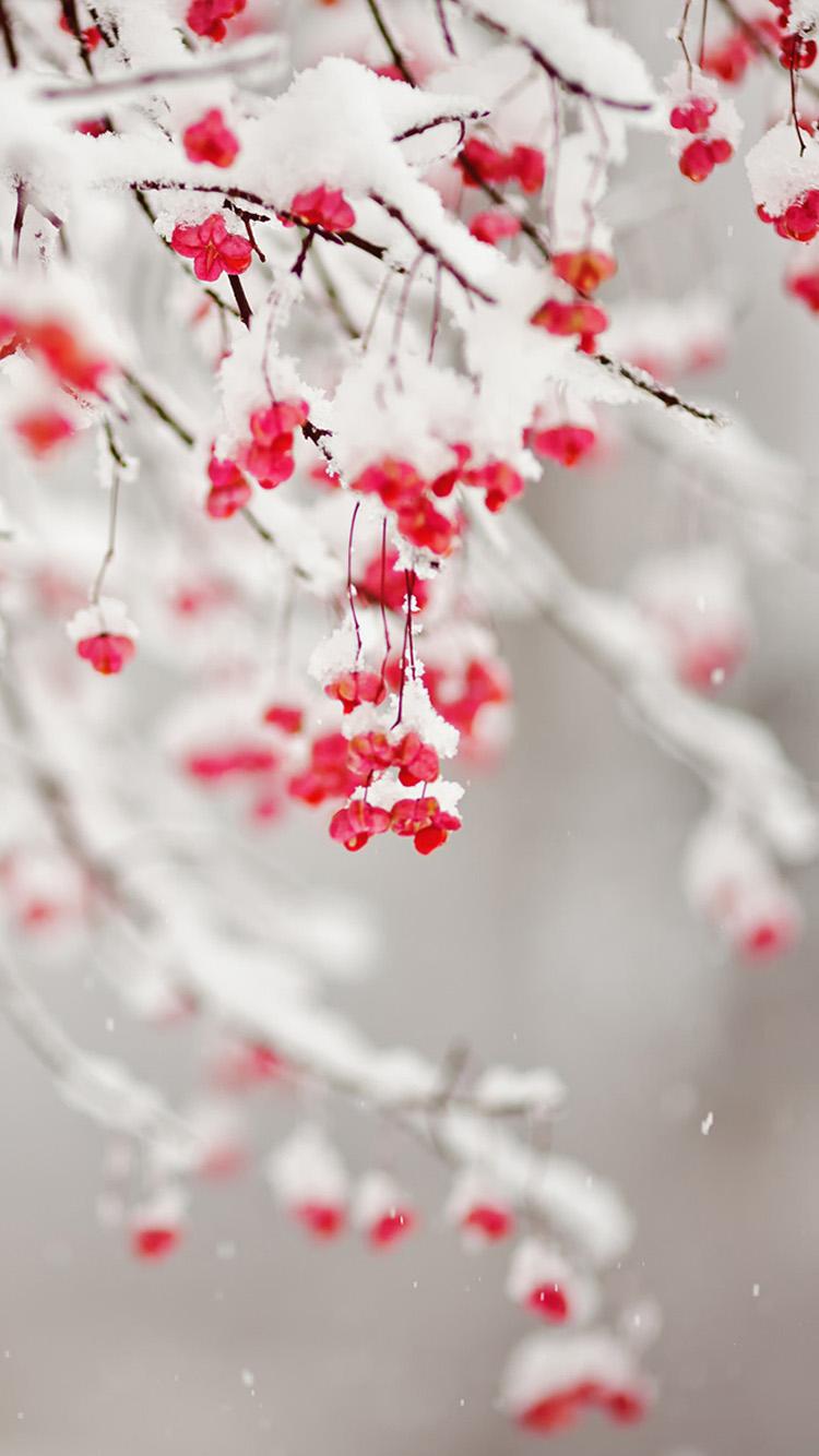 750x1334 Winter Wallpaper iPhone 6 Plus
