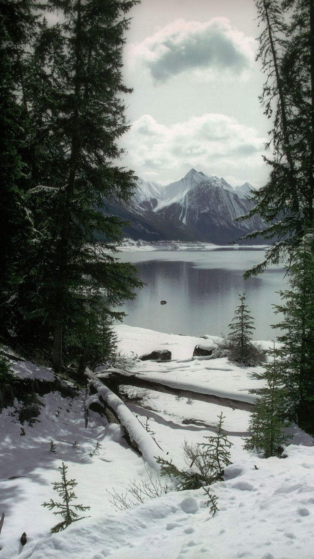 1080x1920 Winter iPhone HD Wallpaper