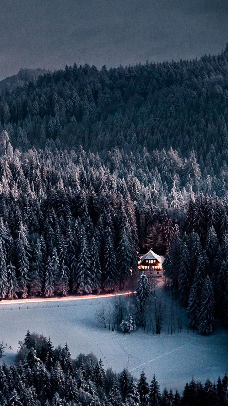 750x1334 Winter Snow Forest Chalet Retreat iPhone 6 Wallpaper HD