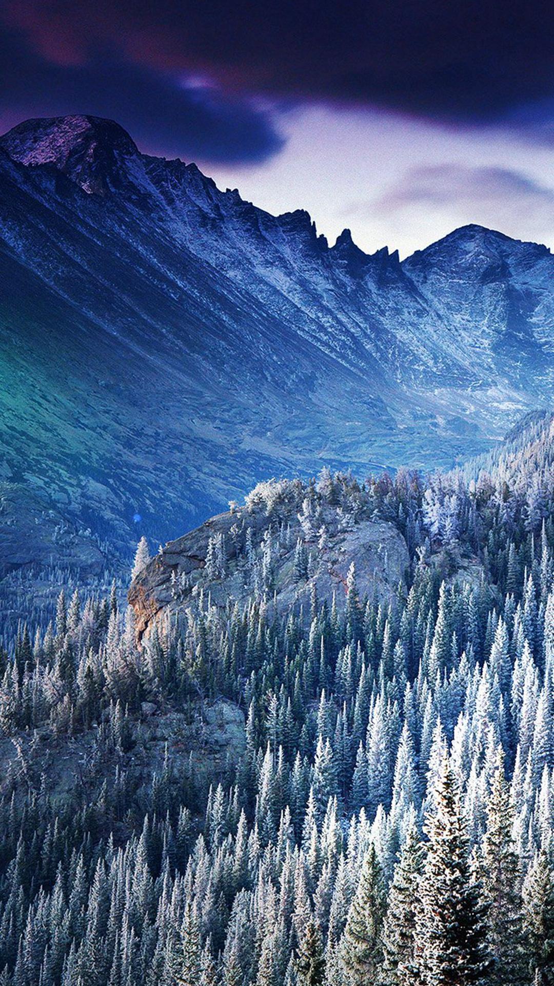 1080x1920 Winter HD Background For iPhone HD Wallpaper