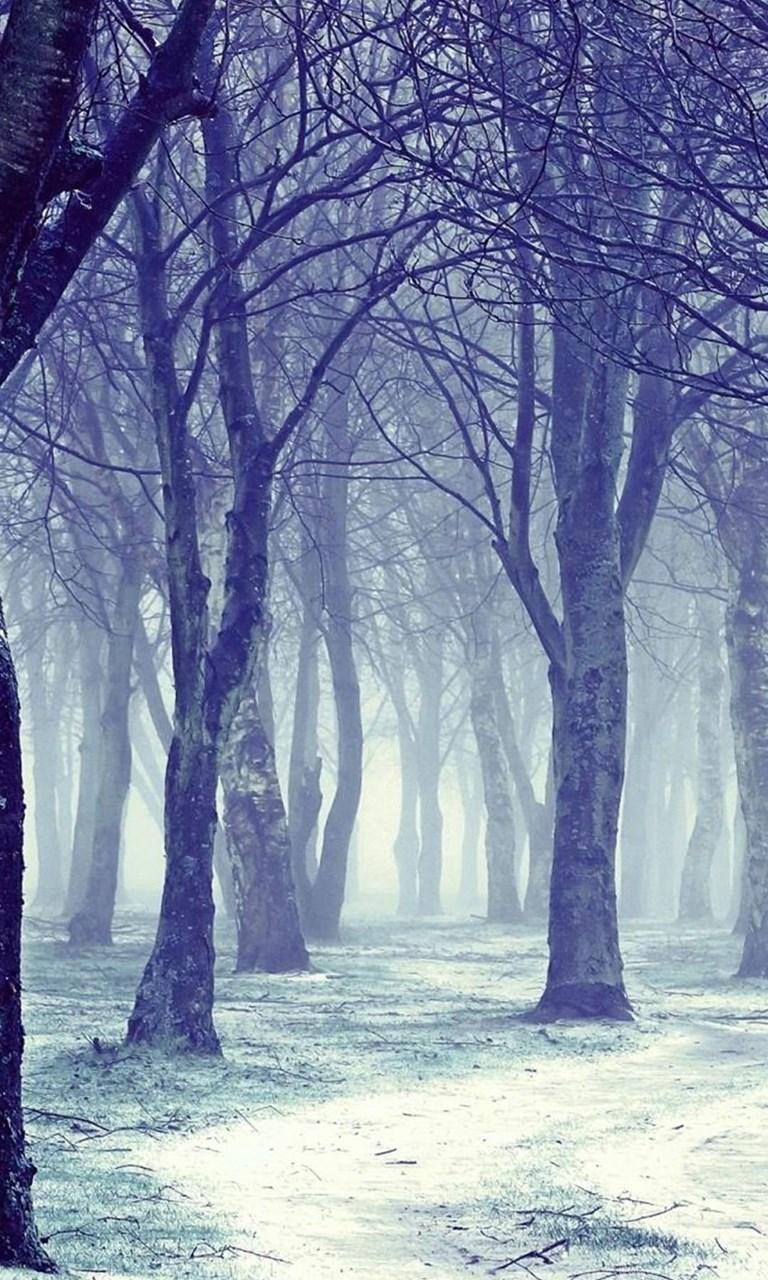 768x1280 Winter iPhone 6 Wallpaper HD And Winter 6 Plus Wallpaper 1080P Desktop Background