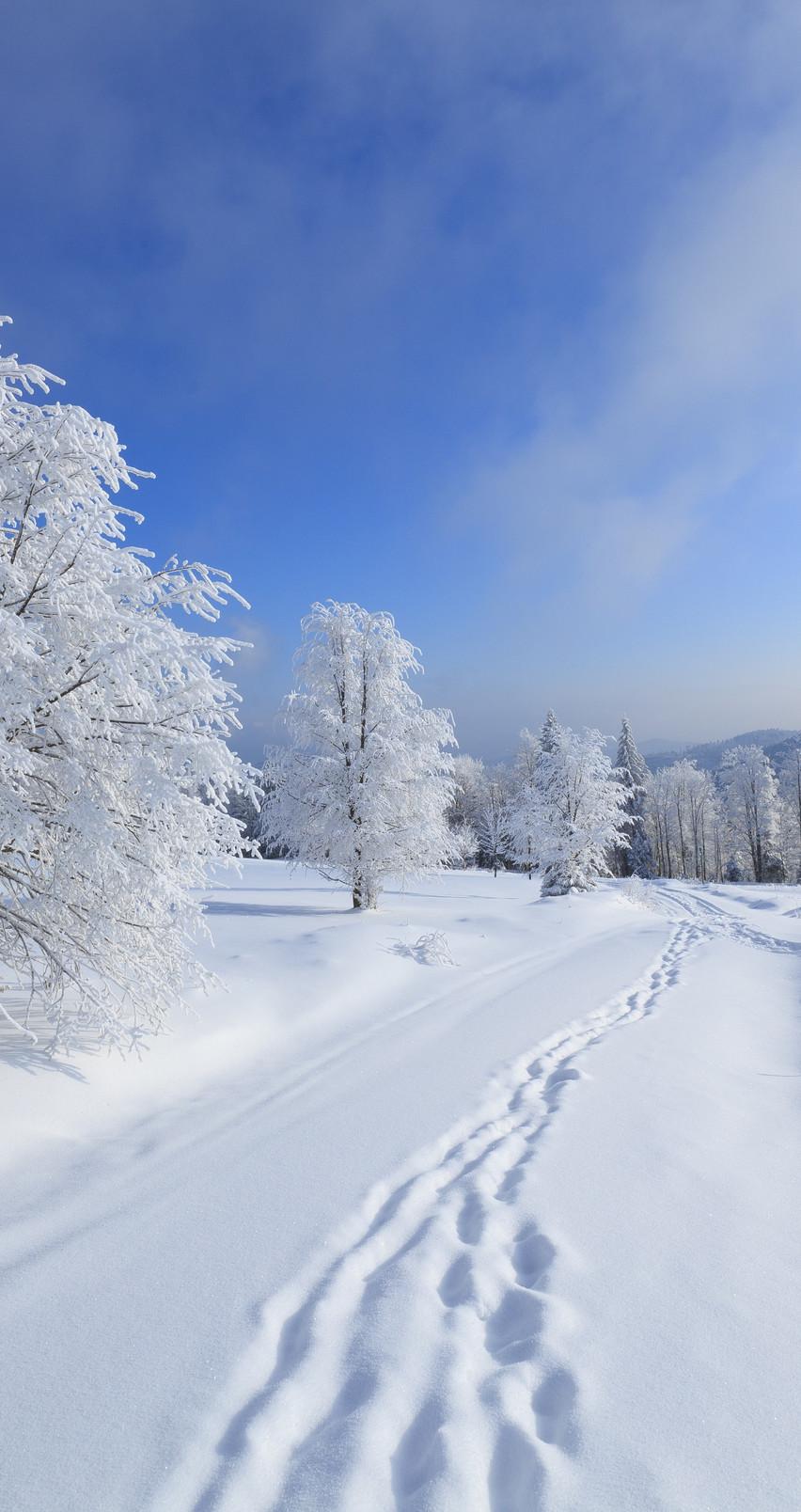 852x1608 Snow Wallpaper iPhone 6