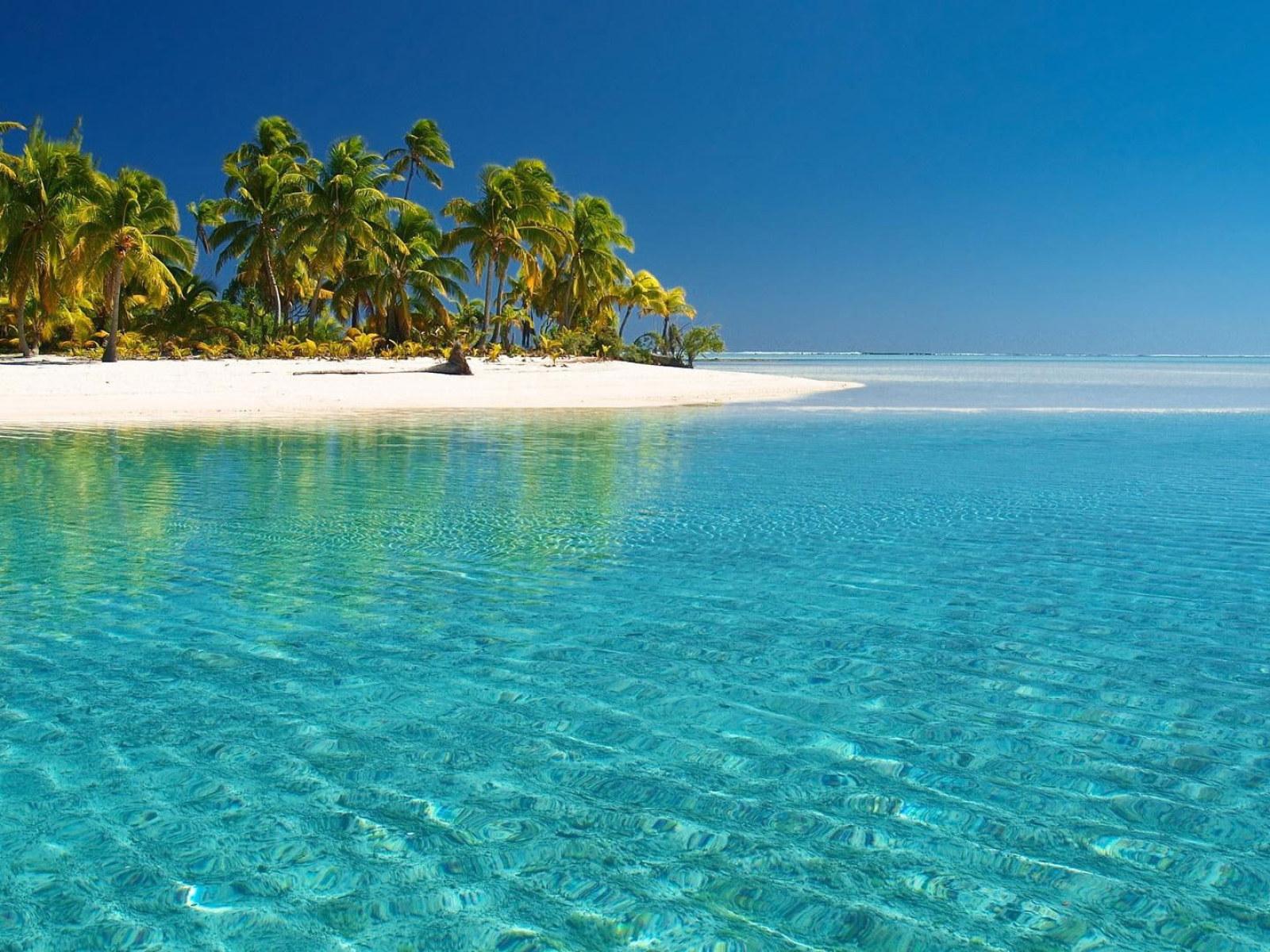1600x1200 Tropical White Beach & Crystal Clear Water wallpaper, blue sea; white sand; green coconut tree • Wallpaper For You HD Wallpaper For Desktop & Mobile