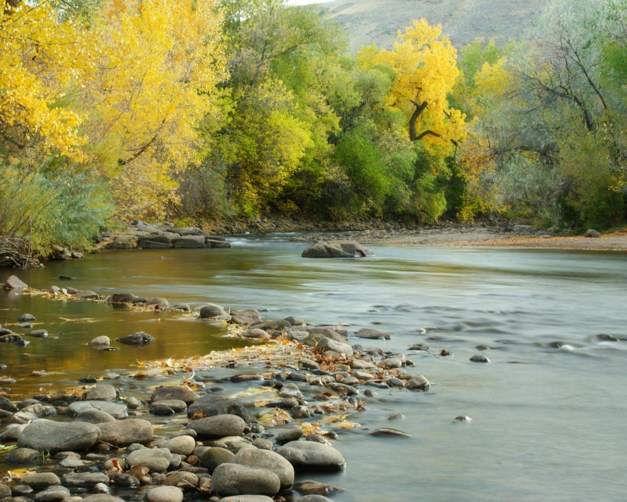 1280x1024 Fall Color Colorful Trees Clear Creek Is A Tributary Of South Platte River County Colorado Usa 4k Ultra HD Wallpaper For High Resolution Computer And Laptop :