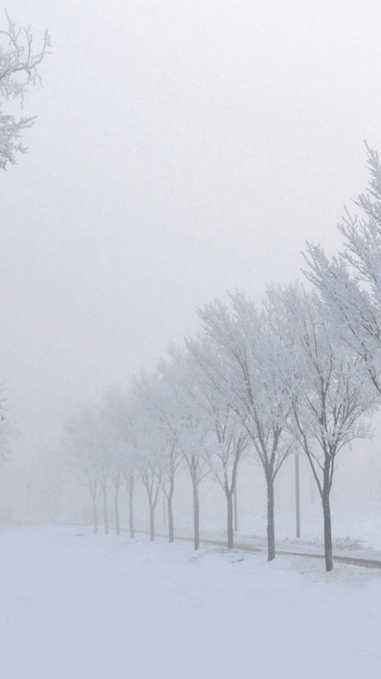 750x1334 Free download Winter Snow Road iPhone 6 Wallpaper iPhone 6 Background and Themes [750x1334] for your Desktop, Mobile & Tablet. Explore Winter Wallpaper iPhone 6 Plus. iPhone 6 Wallpaper