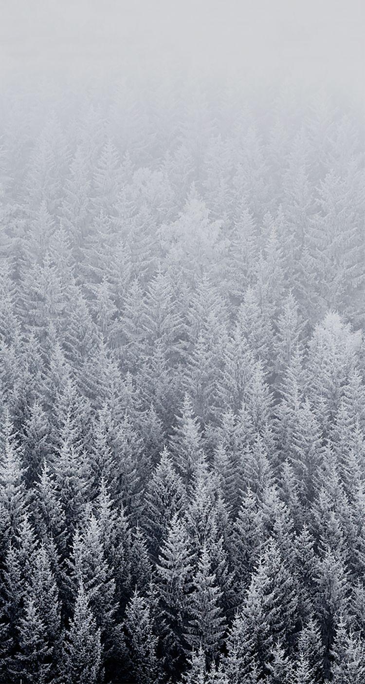 750x1403 Amazing wallpaper for the new iPhone 6!. iPhone wallpaper winter, Wallpaper winter, Winter wallpaper