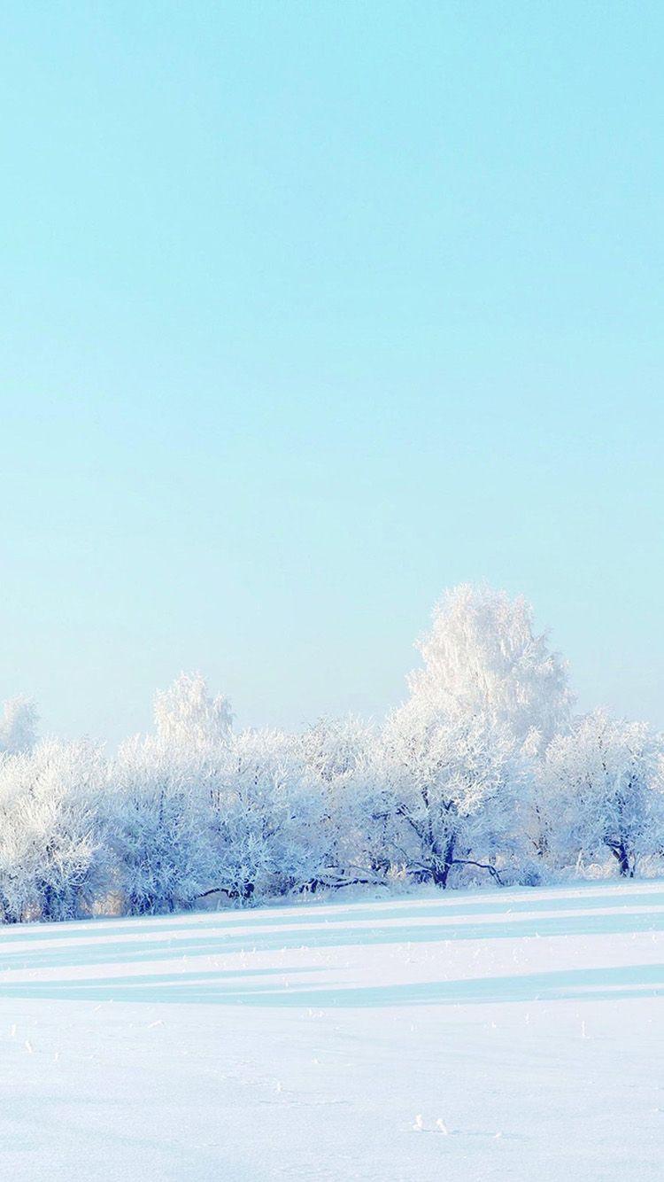 750x1334 Snow iPhone Wallpaper