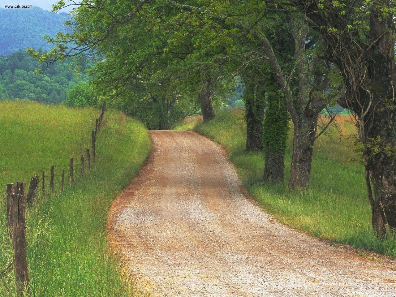 1280x960 Nature: Country Road Through Cades Cove Great Smoky Mountains Tennessee, picture