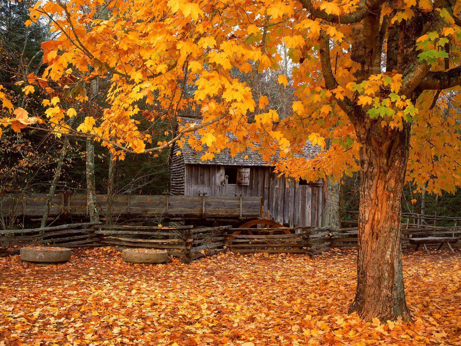 1600x1200 Great Smoky Mountains National Park Wallpaper