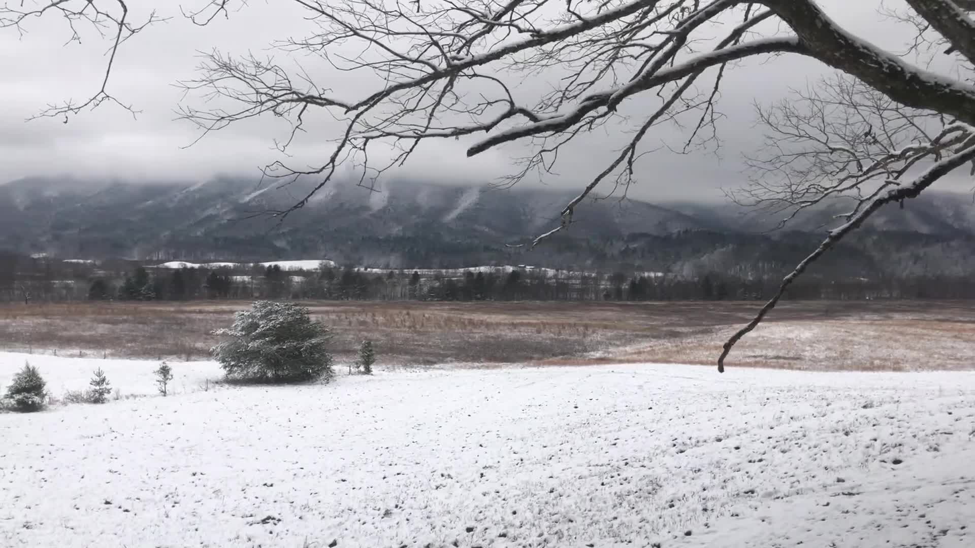 1920x1080 VIDEO: Take a snowy ride through Cades Cove. WATE 6 On Your Side