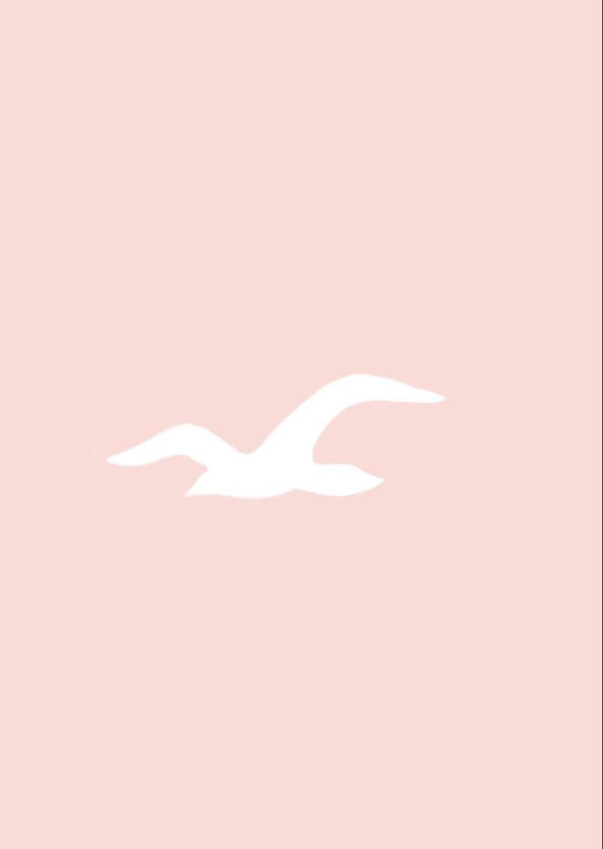 853x1200 Light Pink Hollister App Cover. App covers, Pink, Pink logo
