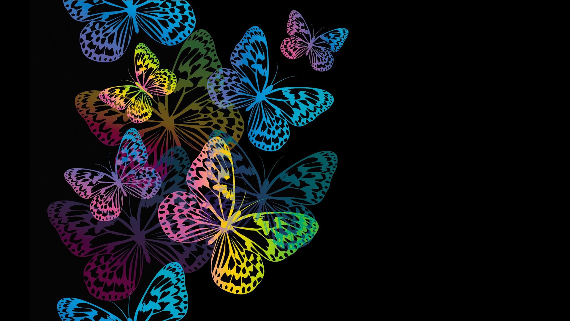1920x1080 Colorful Butterflies HD Wallpaper