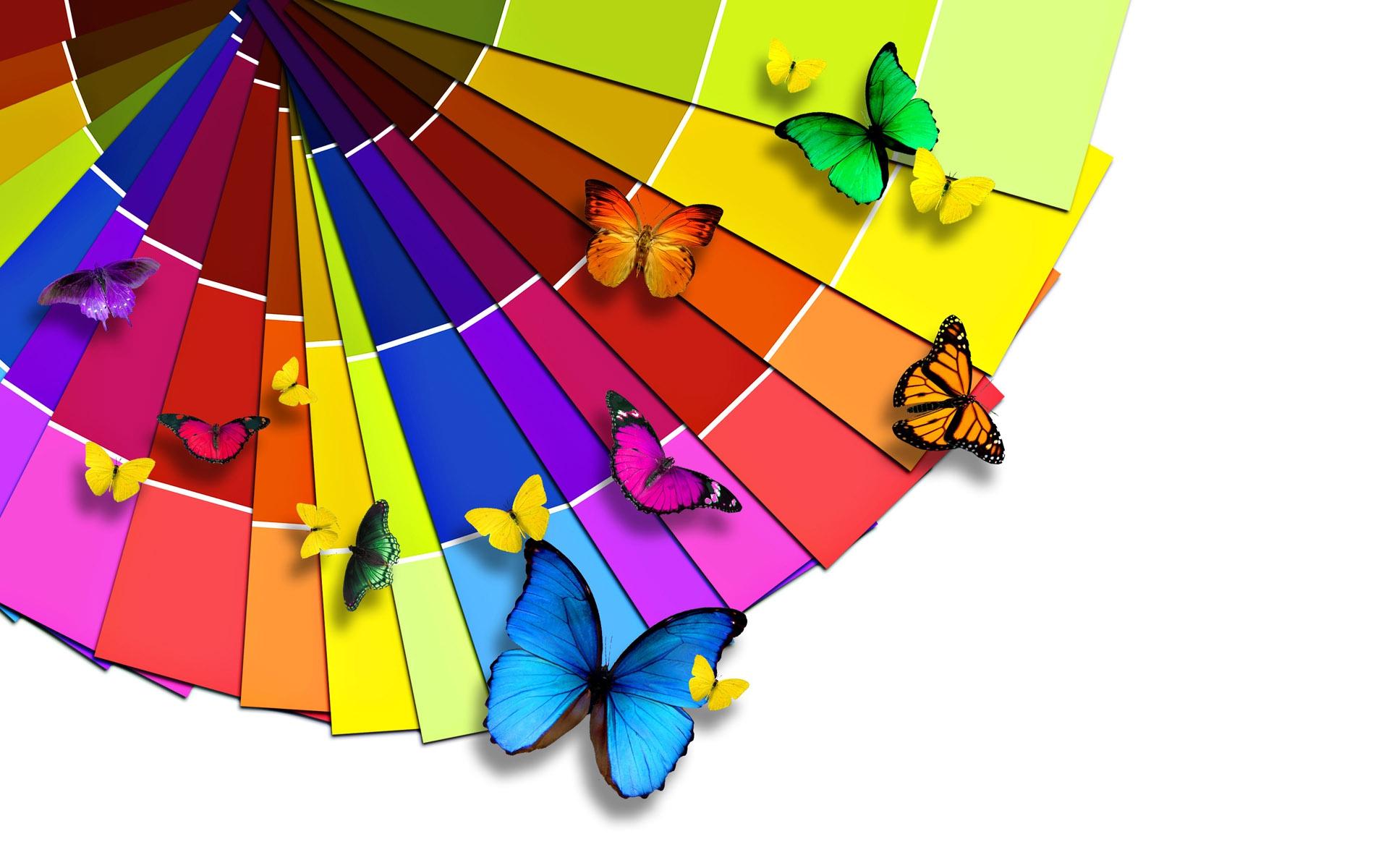 1920x1200 colorful butterfly rainbows 1920x1200 wallpaper