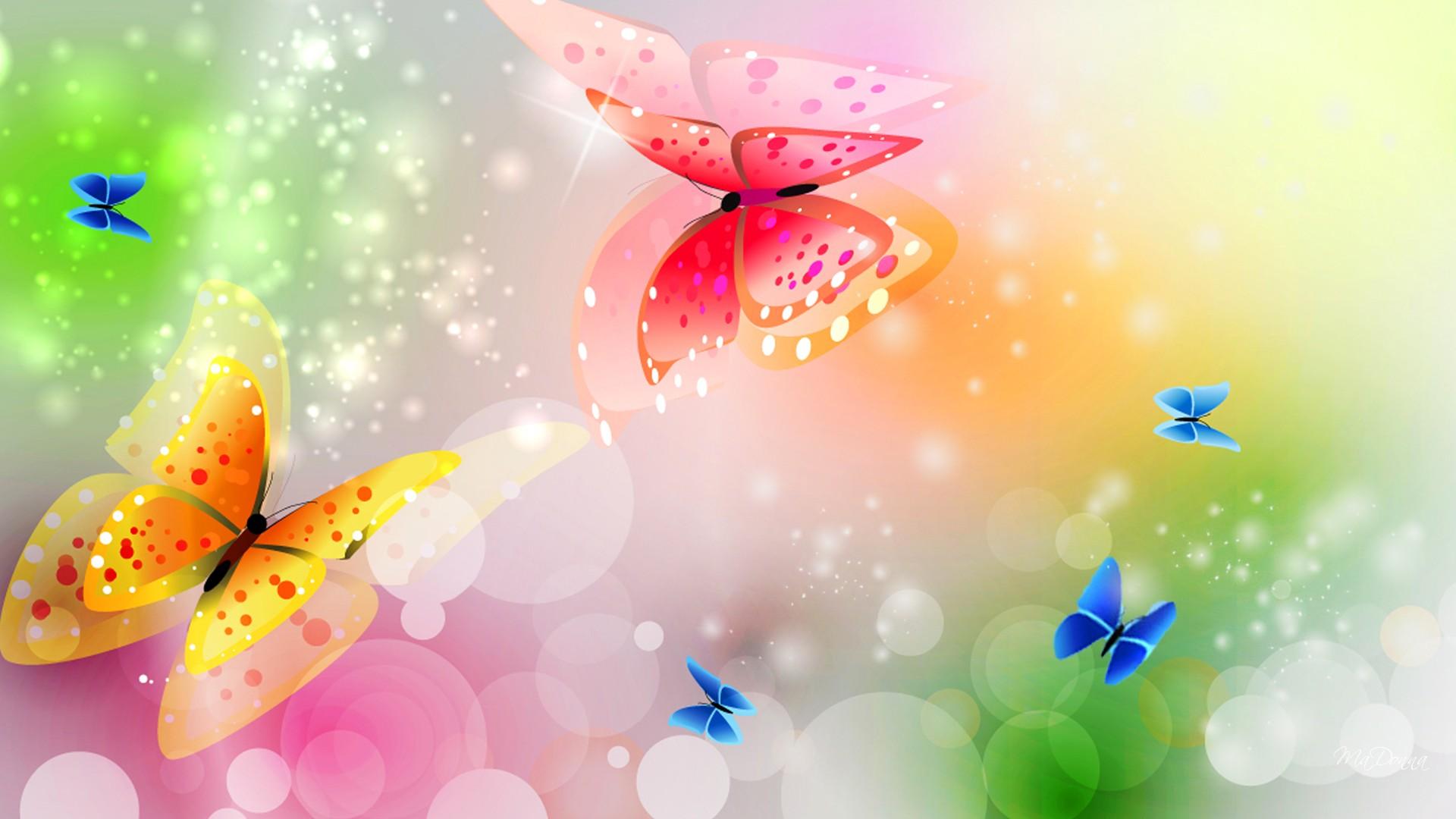 1920x1080 COLORFUL BUTTERFLY WALLPAPERS FREE TO DOWNLOAD