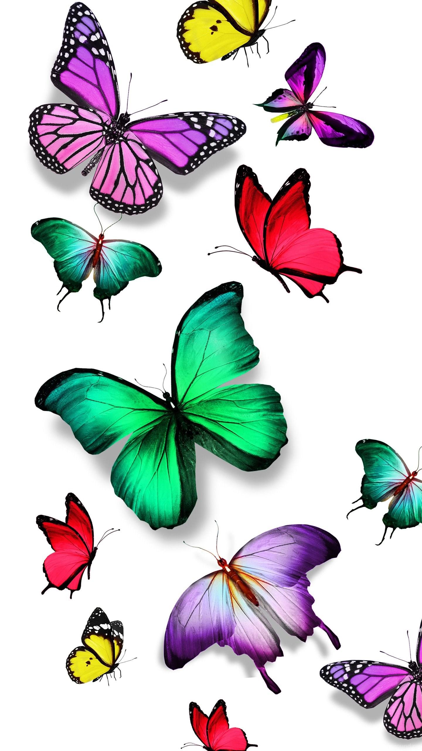 1440x2560 Colorful Butterfly Nexus 6 Wallpaper, Nexus 6 Wallpaper And. Desktop Background