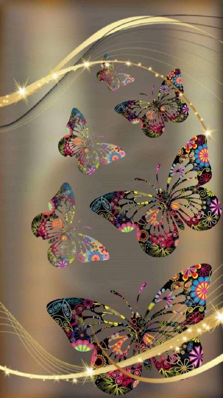 Colourful Butterfly HD Wallpapers Top Free Colourful Butterfly HD Backgrounds WallpaperAccess