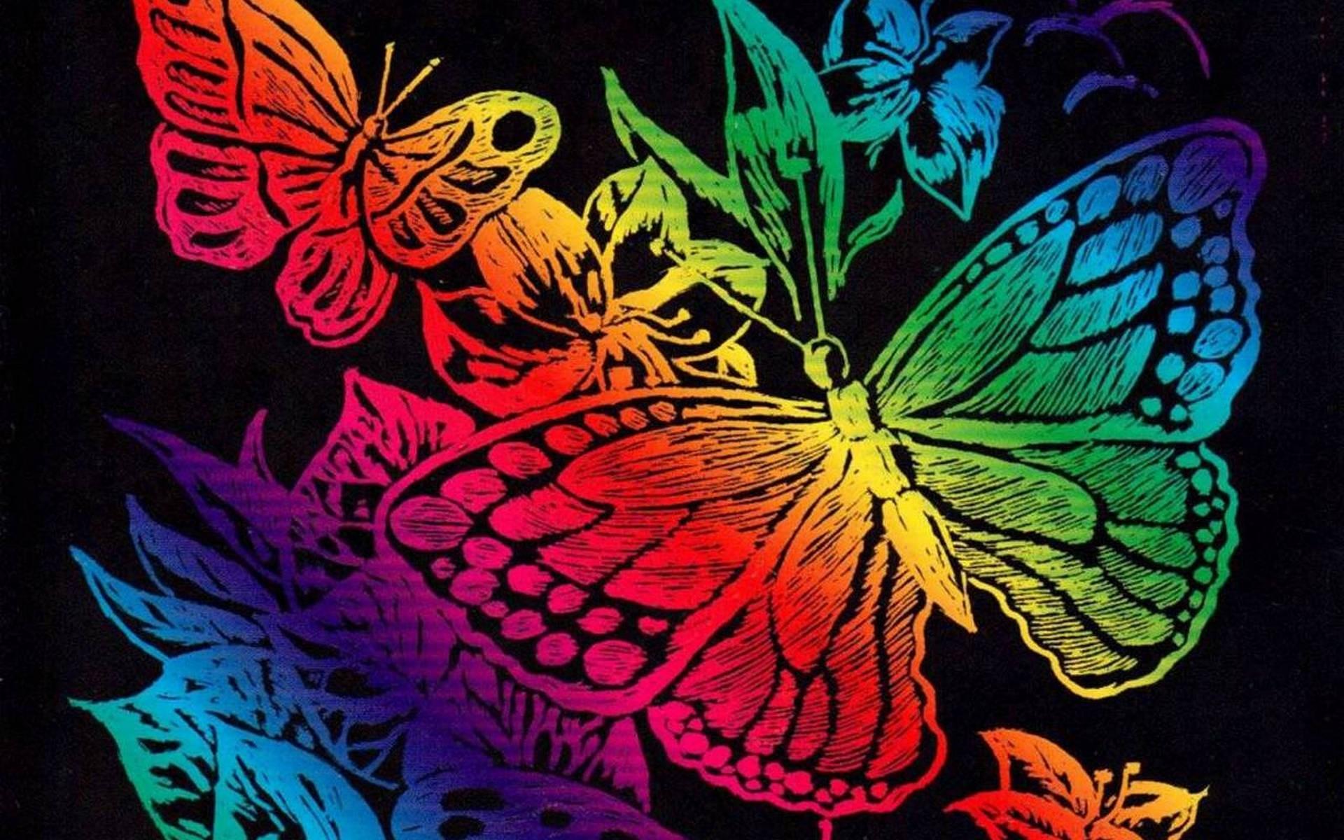 1920x1200 colorful butterfly 1920x1200 wallpaper