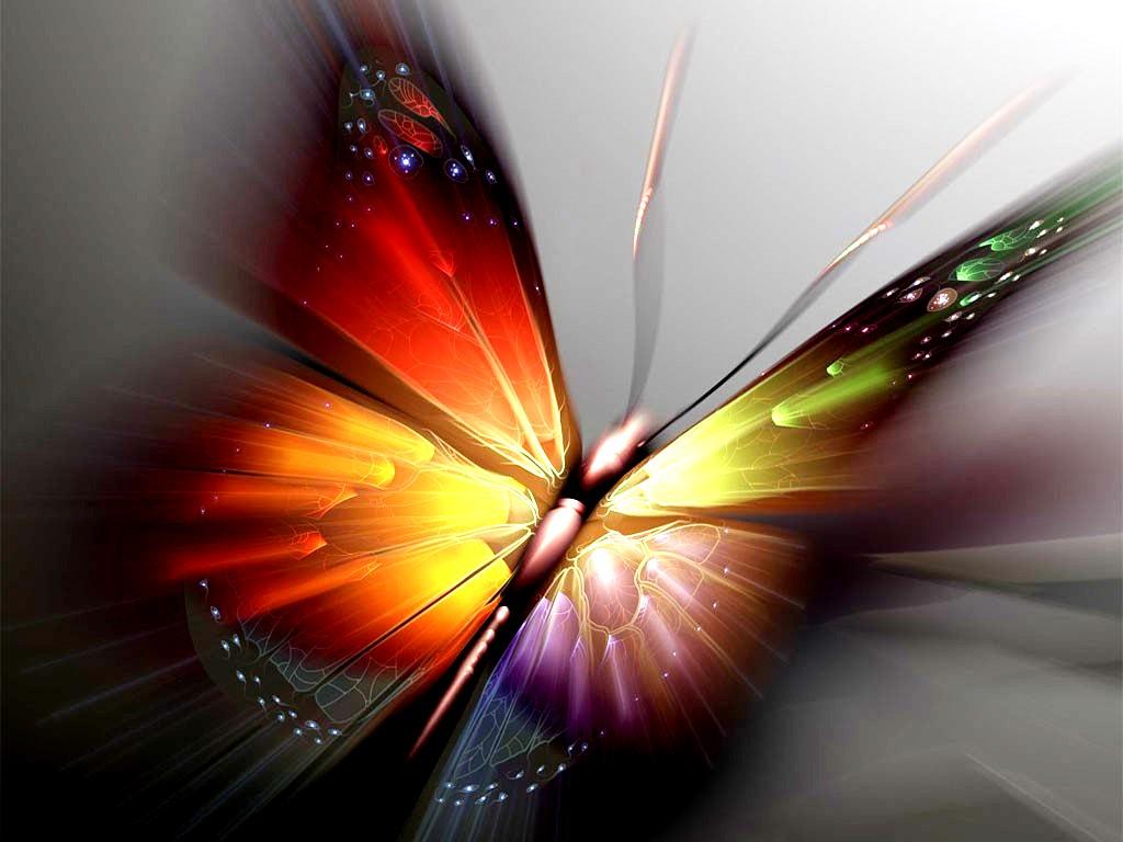 1024x768 Beautiful Colorful Butterfly Wallpaper Beautiful Wallpaper For iPad HD Wallpaper